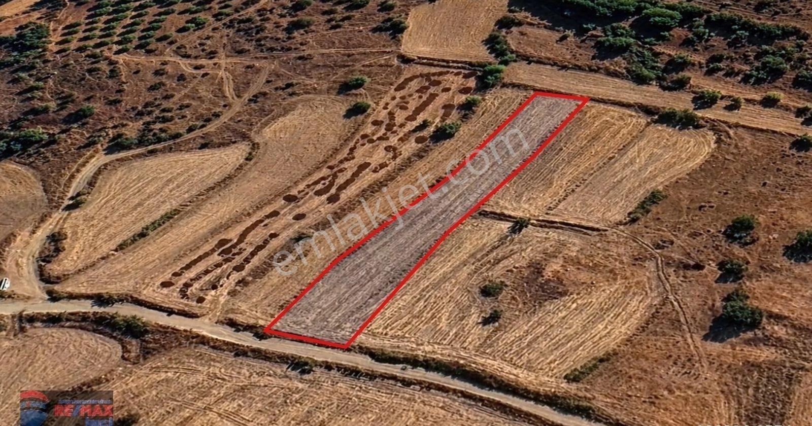 Re/max İnci'den Bigadiç Yağcıbedir Mah. Satılık Tarla - Görsel 16