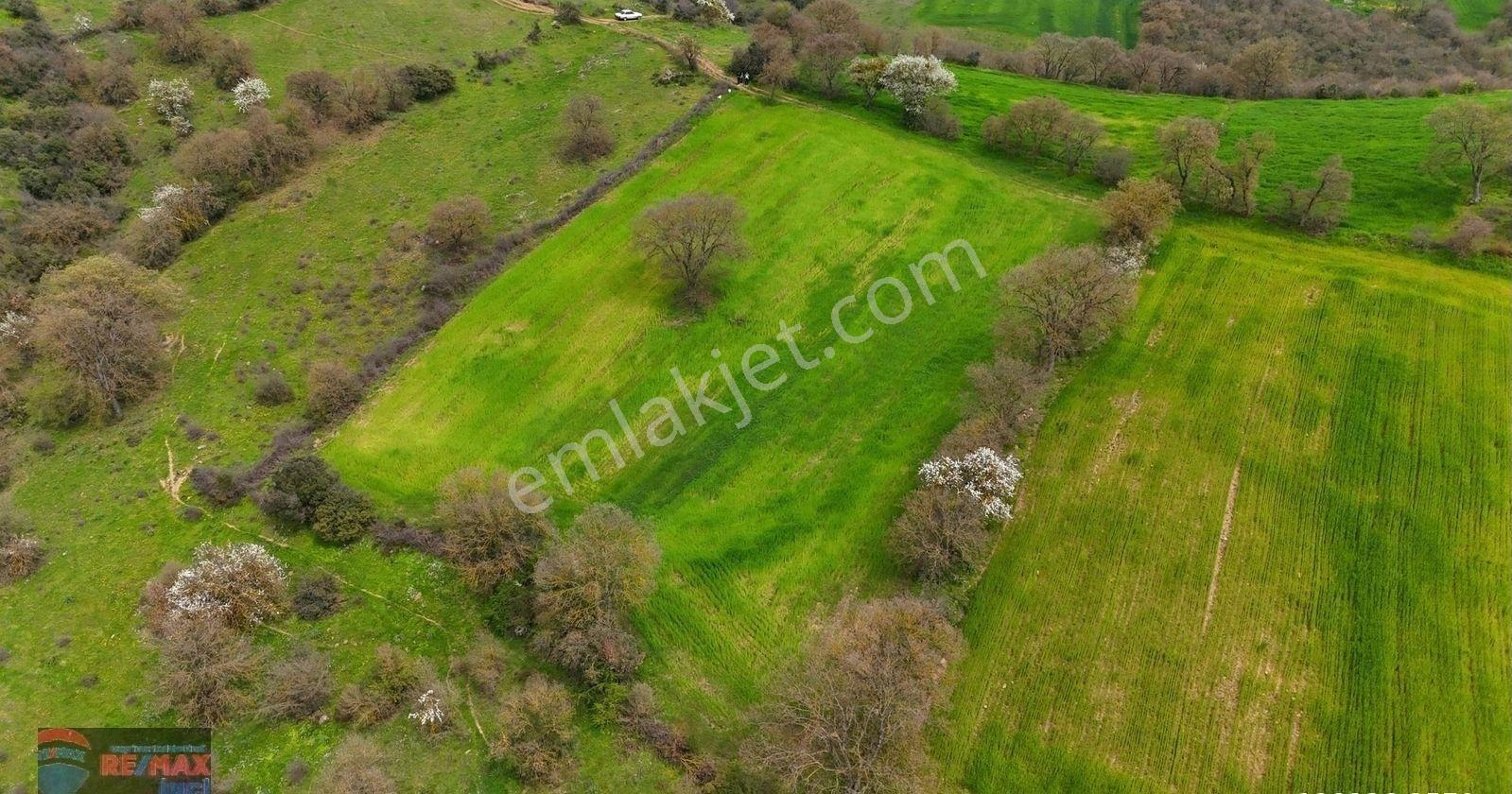 Re/max İnci'den Altıeylül Dereköy'de Satılık 3.586m² Tarla - Görsel 19