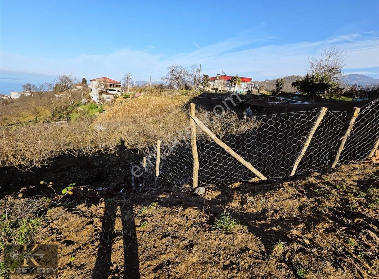 Kuzey City Gayrimenkul Den Deniz Manzaralı Arazi - Görsel 9