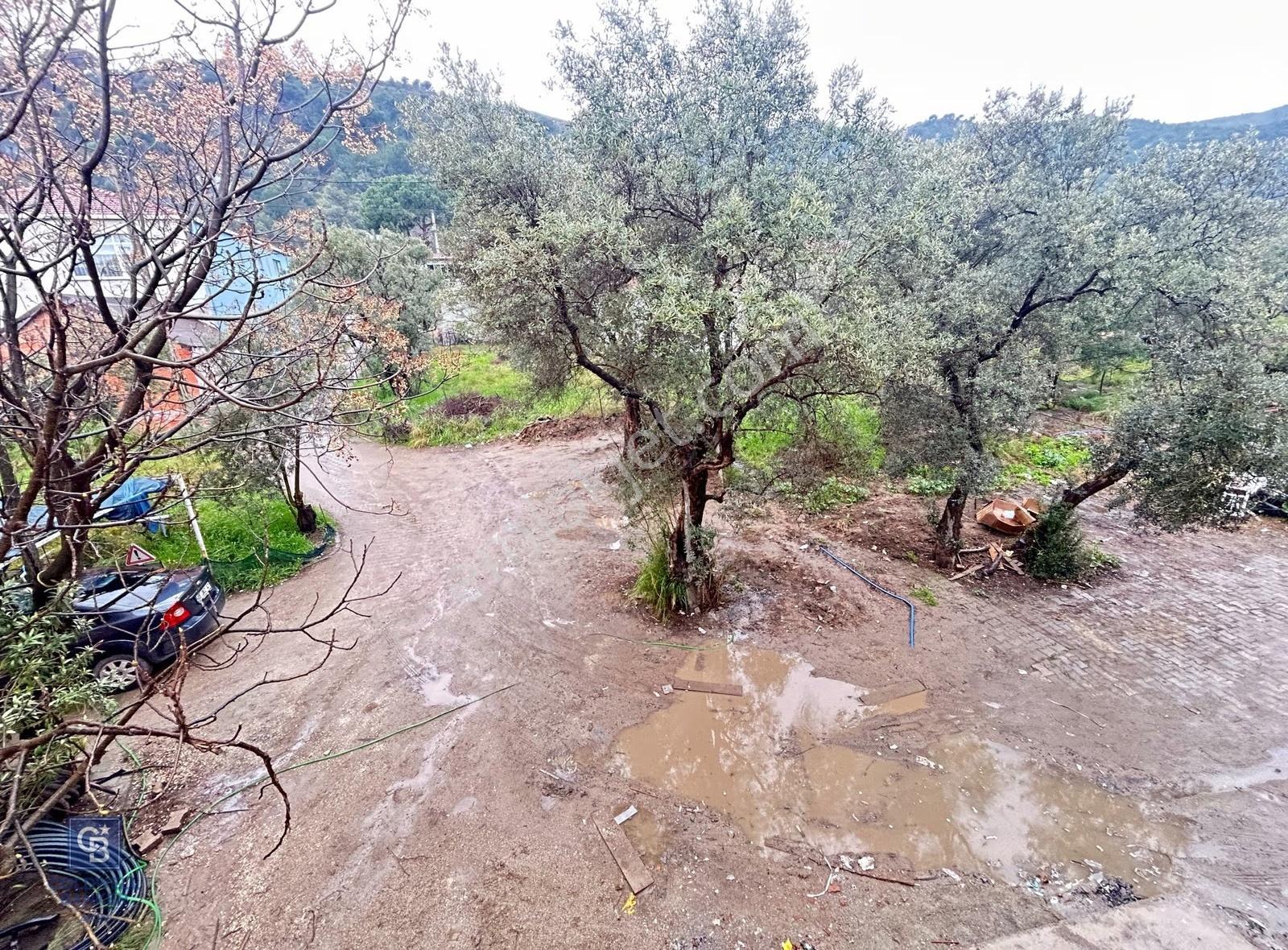 Yalova Armutlunun En Güzel Yeri Fıstıklı Da Satılık Müstakil Ev - Görsel 3