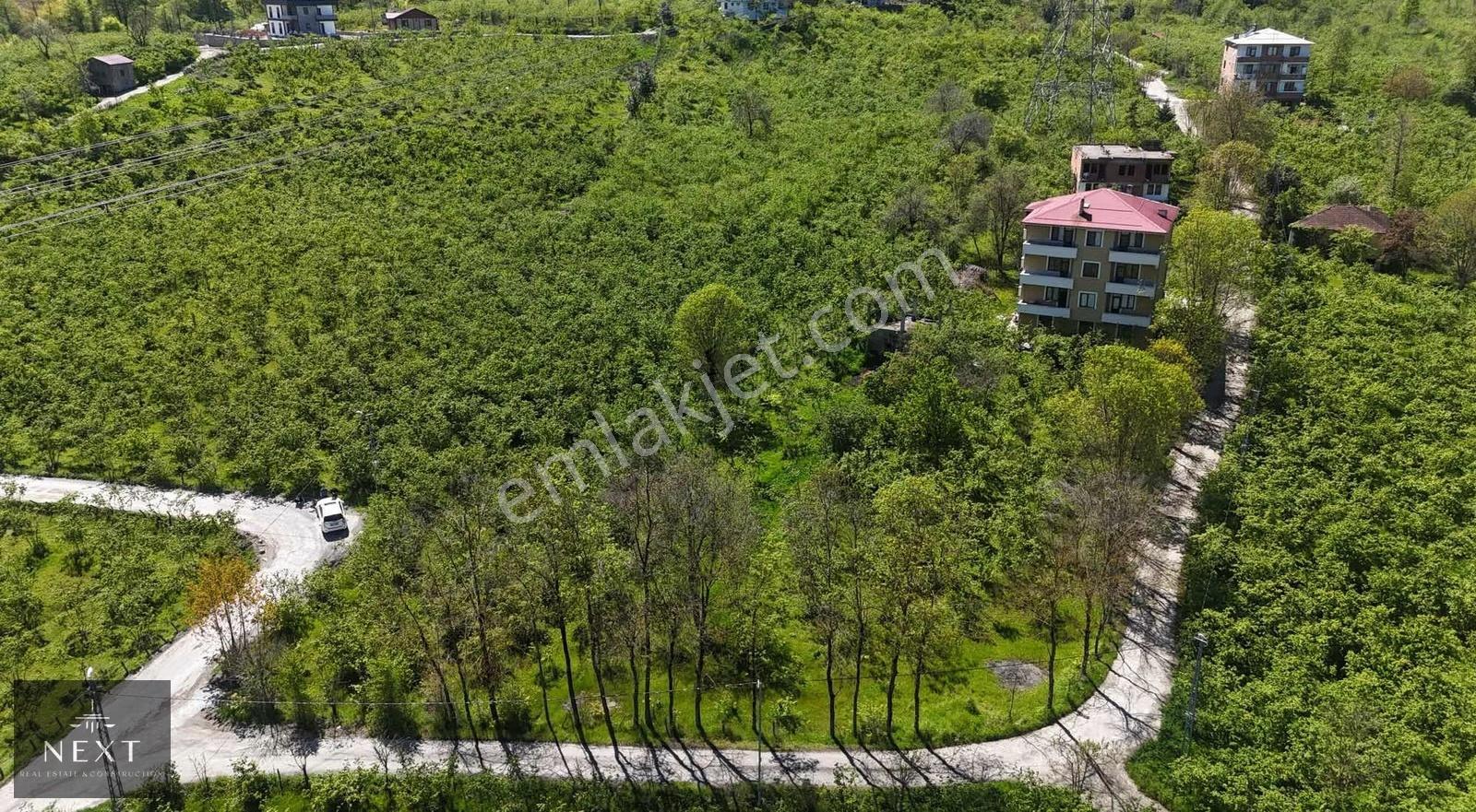Gölçayırda Ev Yapımına Uygun Düz Arsa - Görsel 3