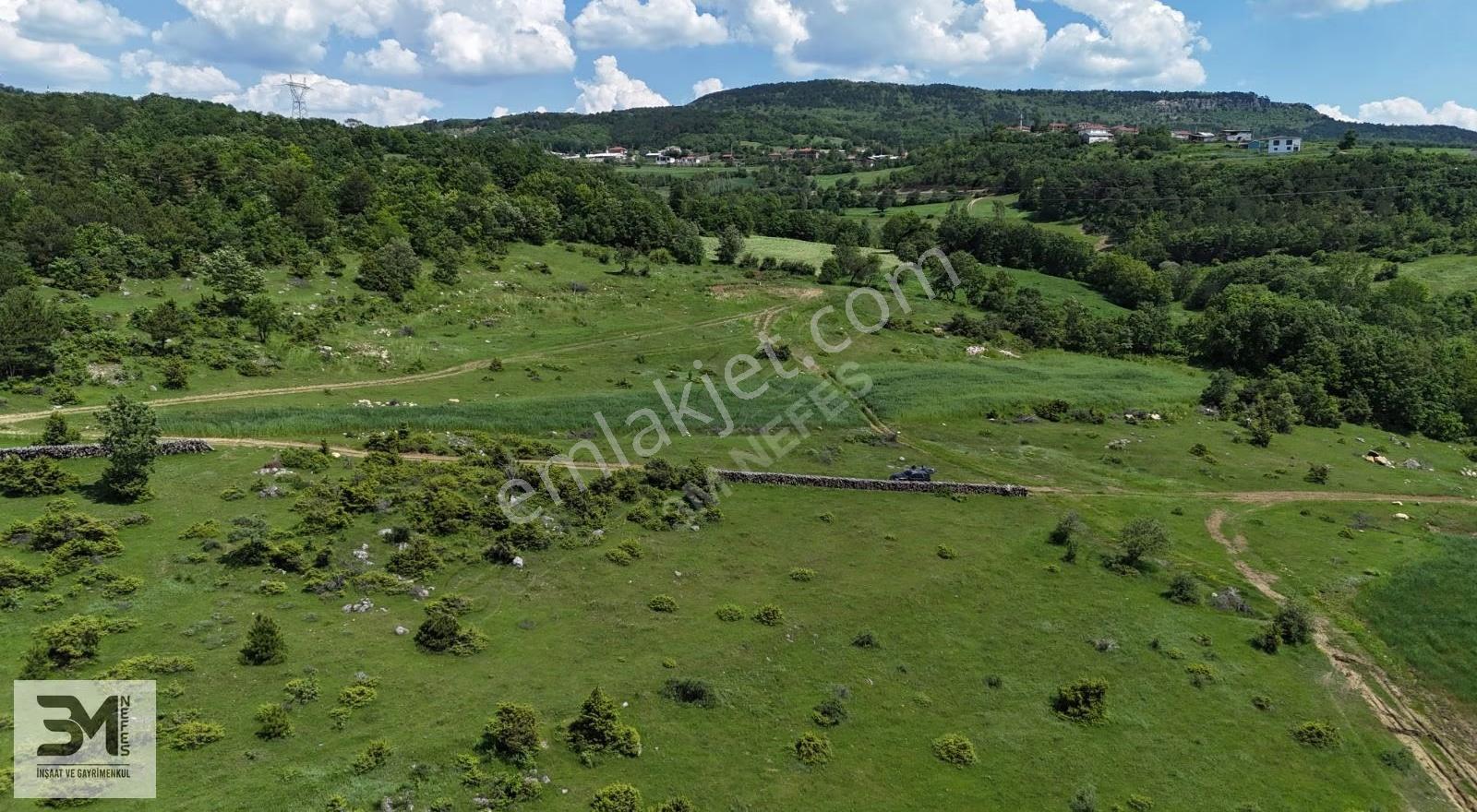 3 Tapu 3'de Resmi Yola Cephe Toplam 4480 M2 Tapu Alanı Kaçmaz - Görsel 10