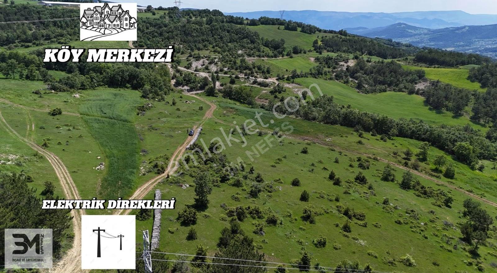 3 Tapu 3'de Resmi Yola Cephe Toplam 4480 M2 Tapu Alanı Kaçmaz - Görsel 5