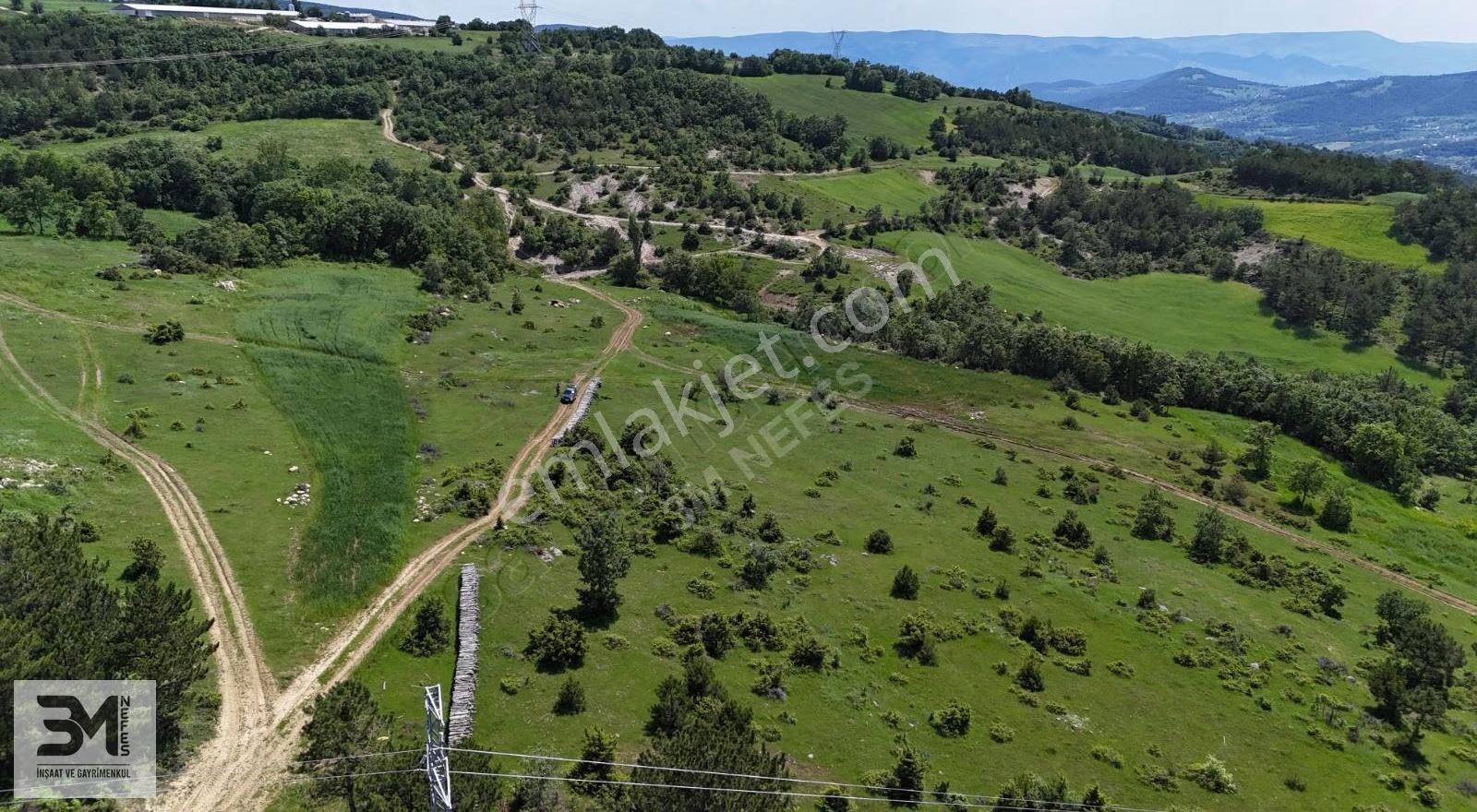 3 Tapu 3'de Resmi Yola Cephe Toplam 4480 M2 Tapu Alanı Kaçmaz - Görsel 7