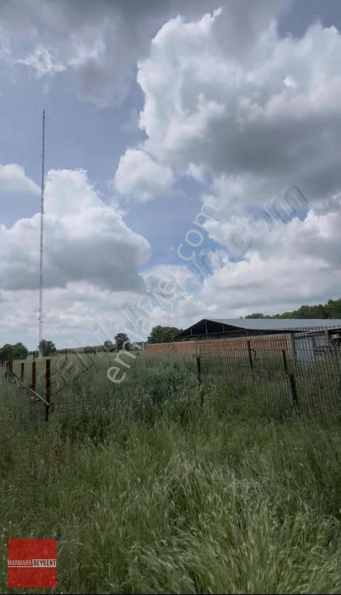 Tekırdağ Çerkezköy Pınarca'da Ruhsatlı Çıftlık 4000 Metre² - Görsel 2