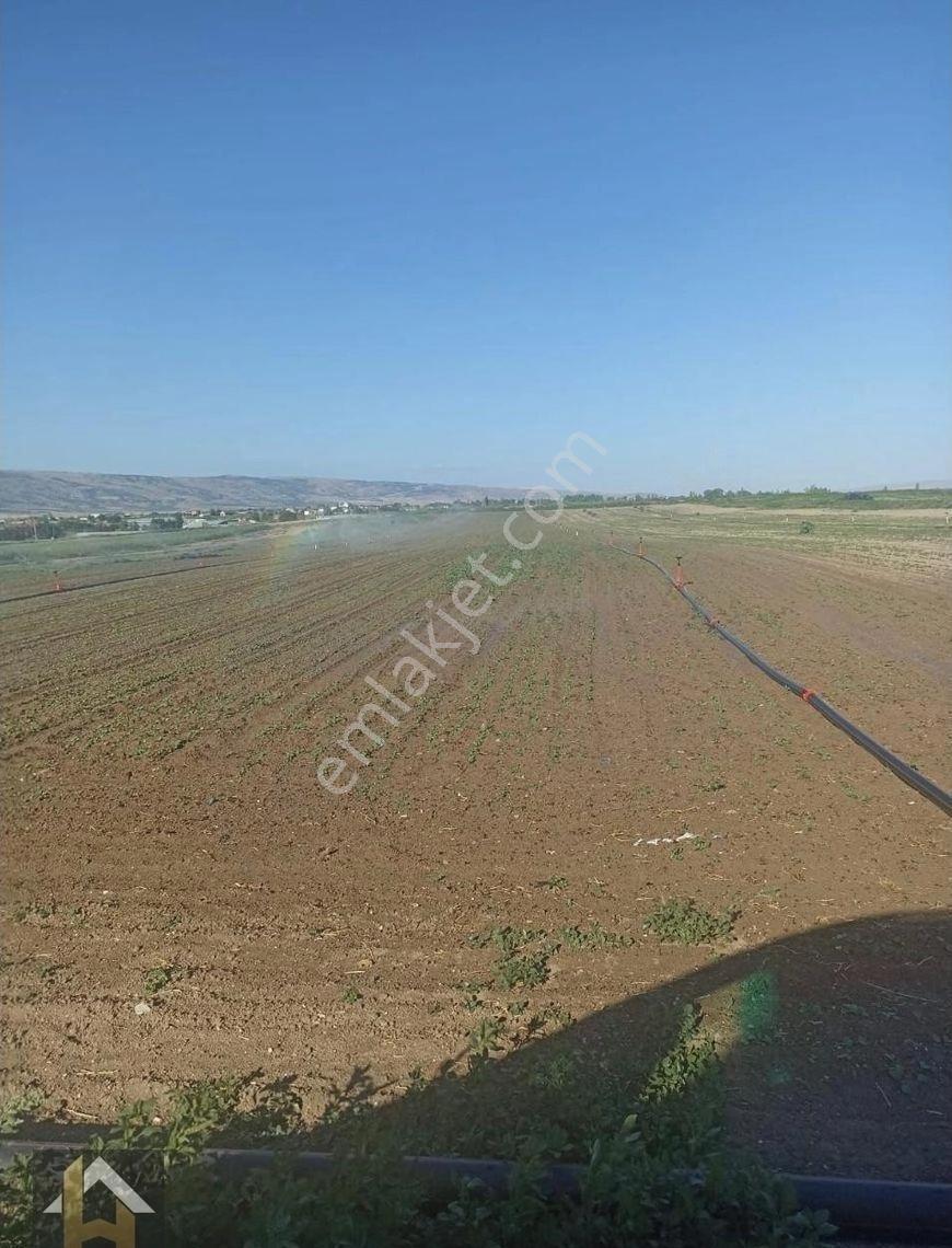 Hatice Kara'dn Sakintepe Mah.de Satılık Tarla