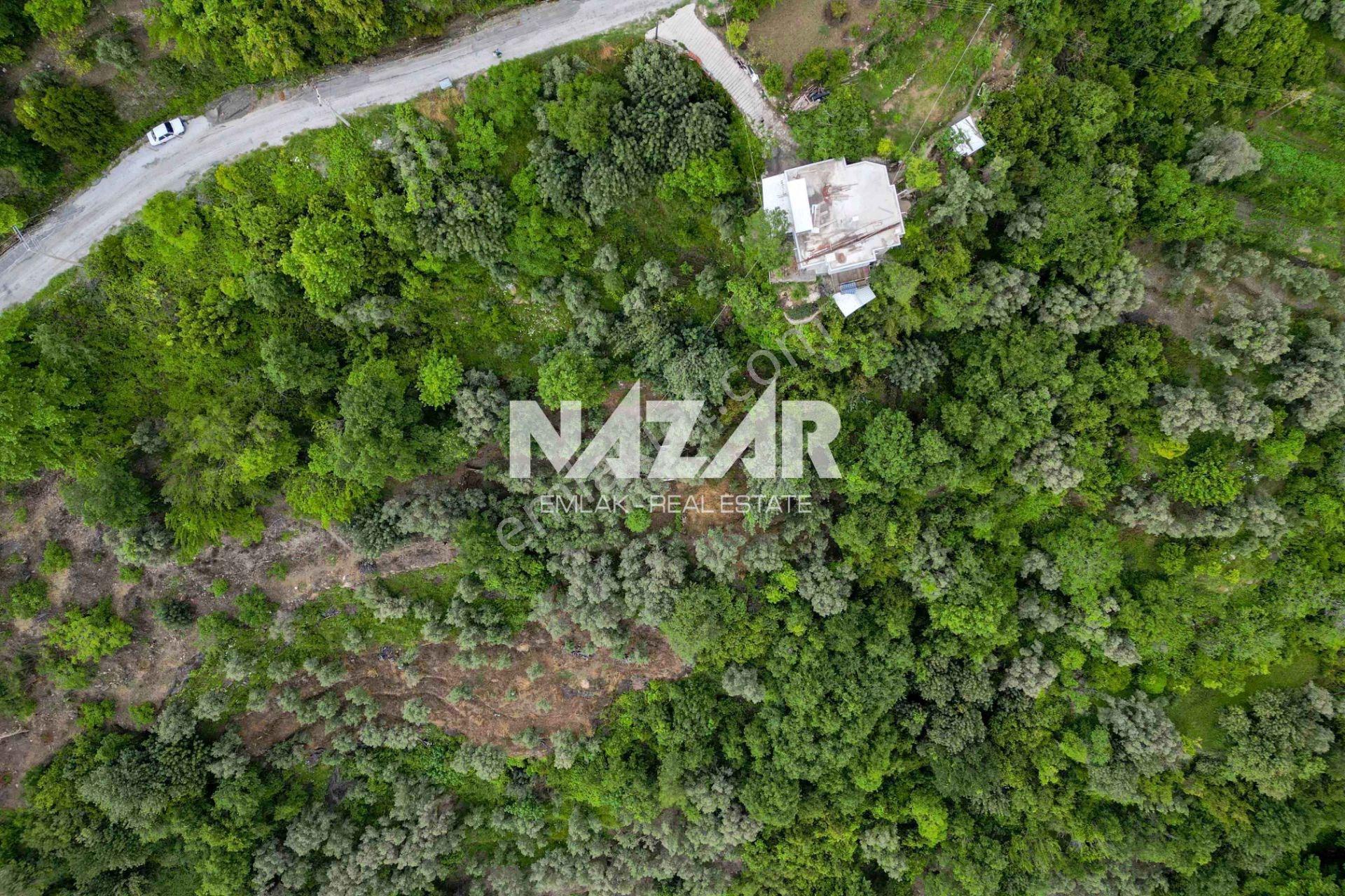 Alanya Mahmutseydi’de 1.186 M² Satılık Tarla Ve Köy Evi - Görsel 13