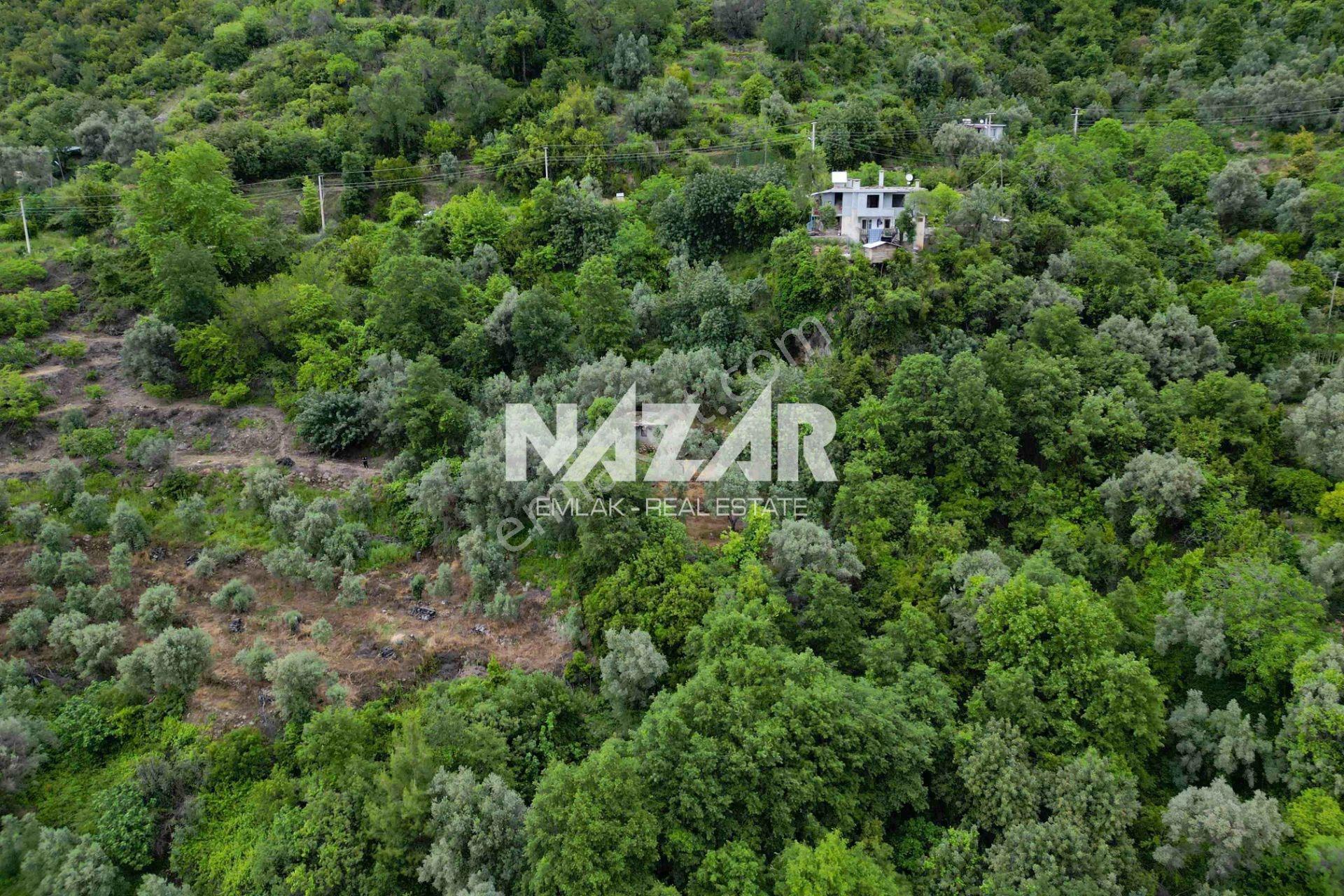 Alanya Mahmutseydi’de 1.186 M² Satılık Tarla Ve Köy Evi - Görsel 10