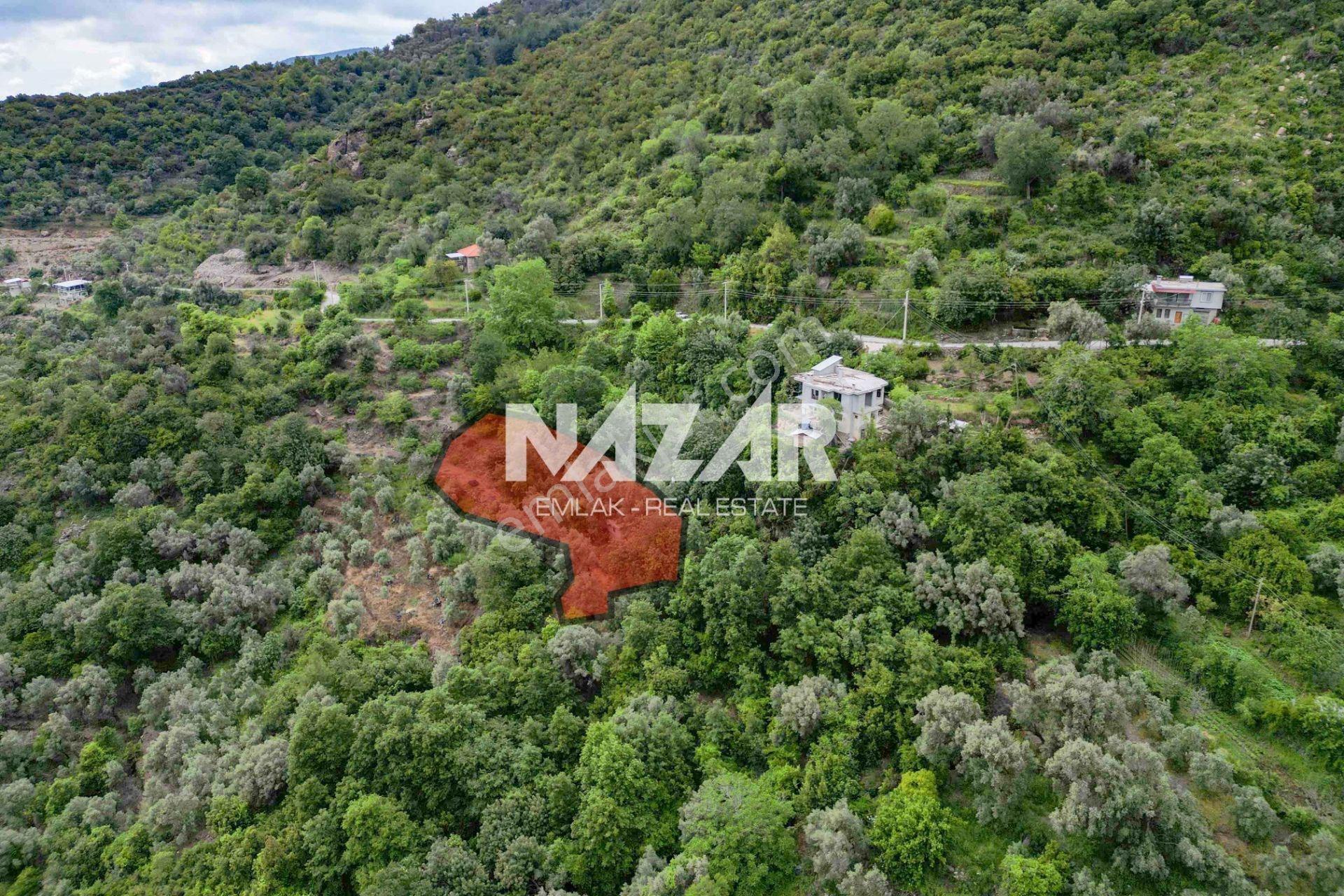Alanya Mahmutseydi’de 1.186 M² Satılık Tarla Ve Köy Evi - Görsel 4