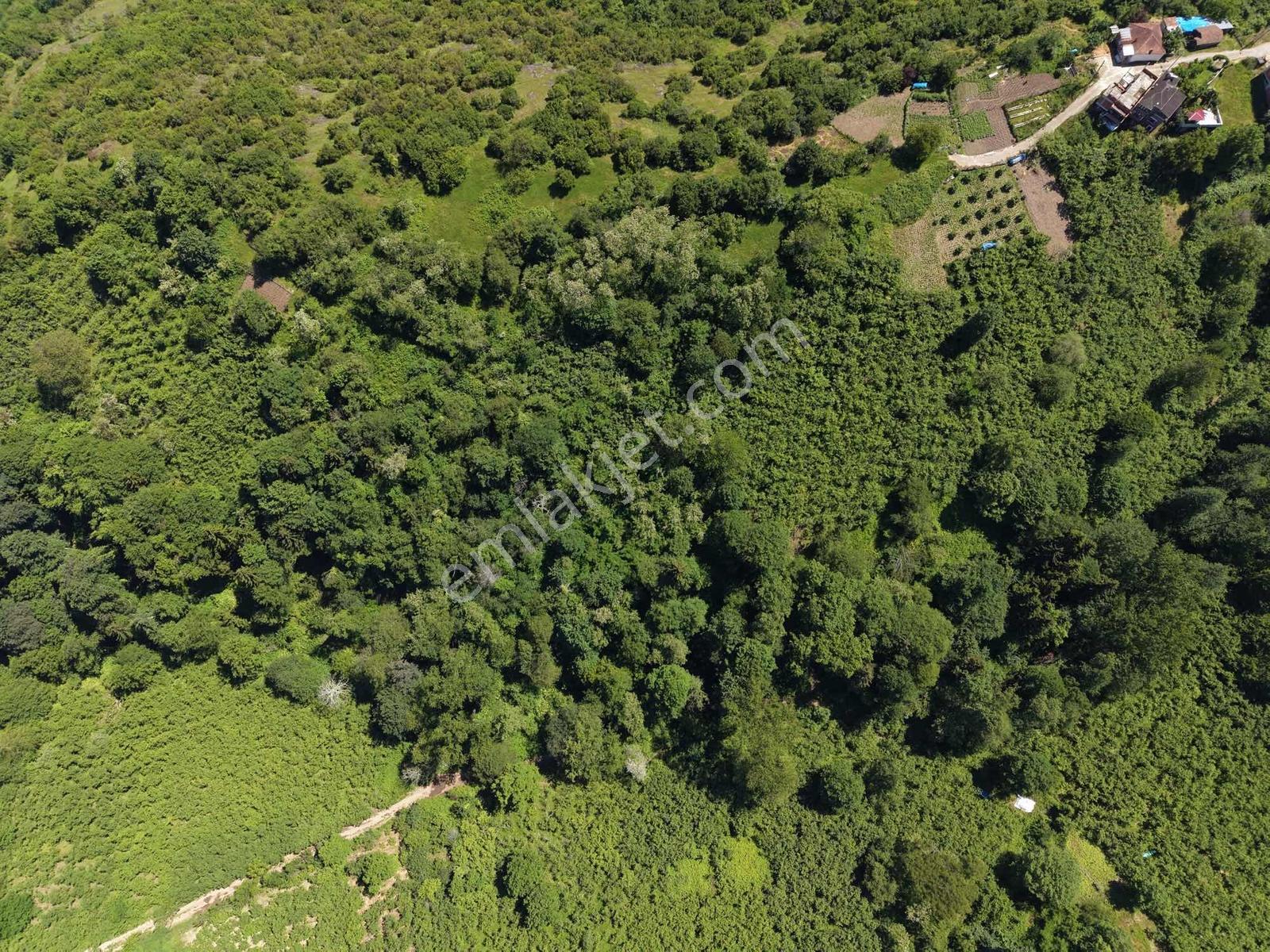 Trabzon Ortahisar Kavalada 888m2 Satılık Arsa - Görsel 11