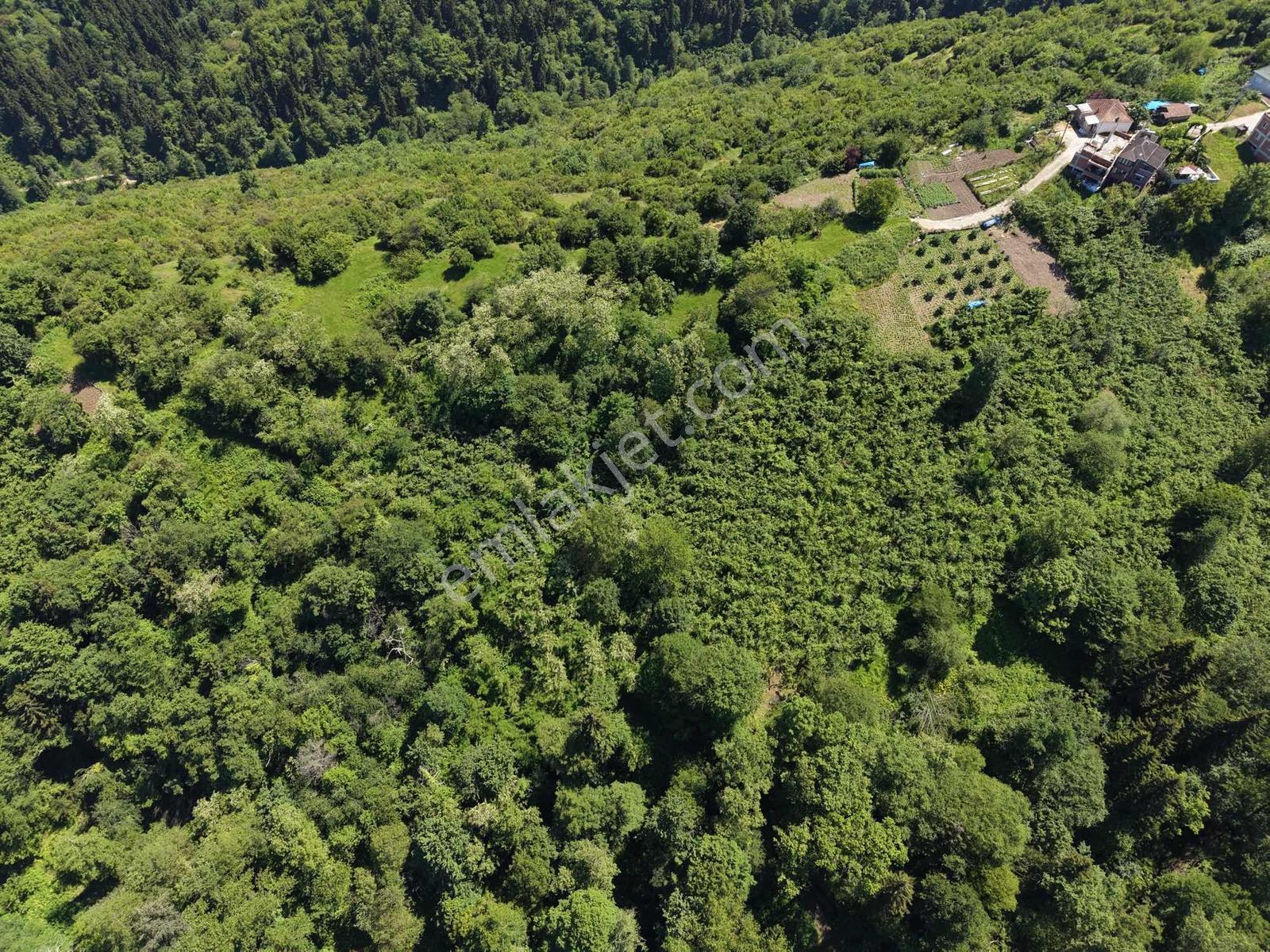 Trabzon Ortahisar Kavalada 888m2 Satılık Arsa - Görsel 8