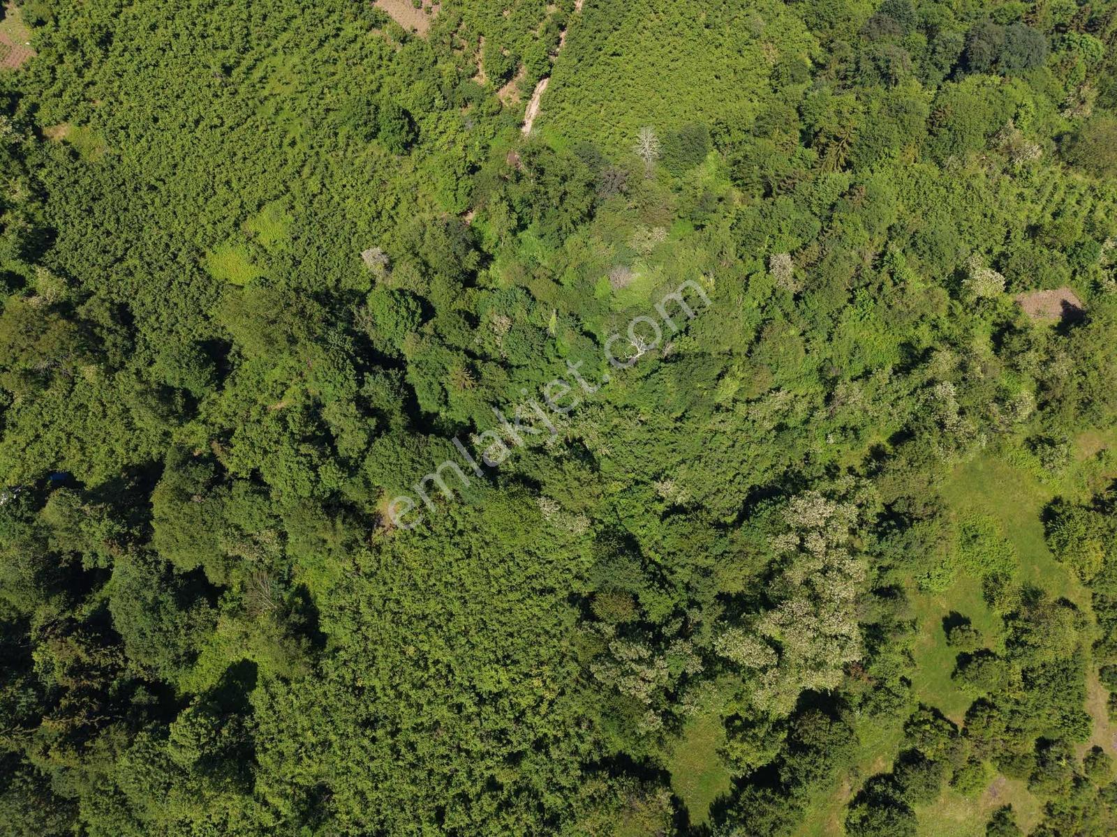 Trabzon Ortahisar Kavalada 888m2 Satılık Arsa - Görsel 3