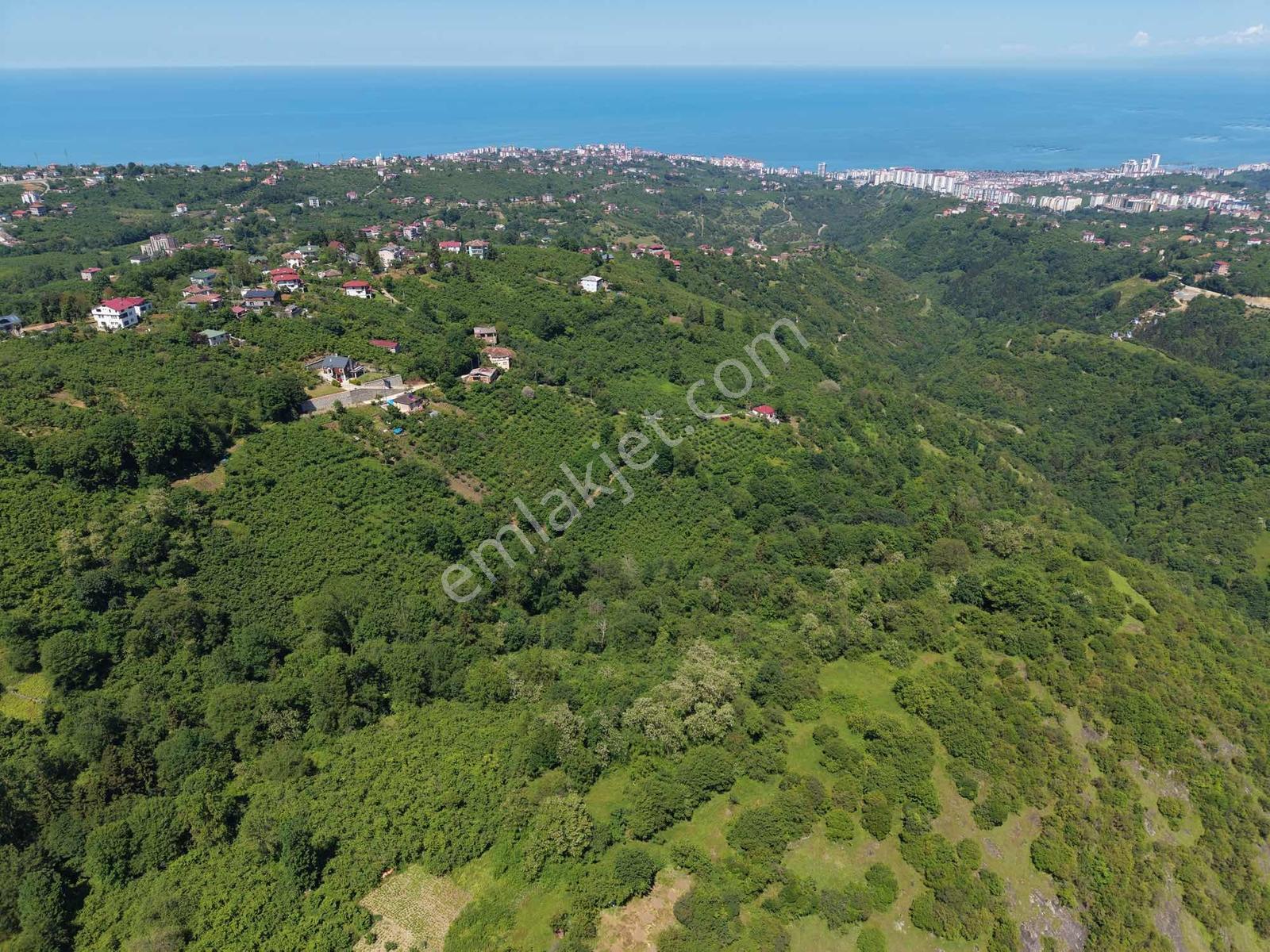 Trabzon Ortahisar Kavalada 888m2 Satılık Arsa - Görsel 10