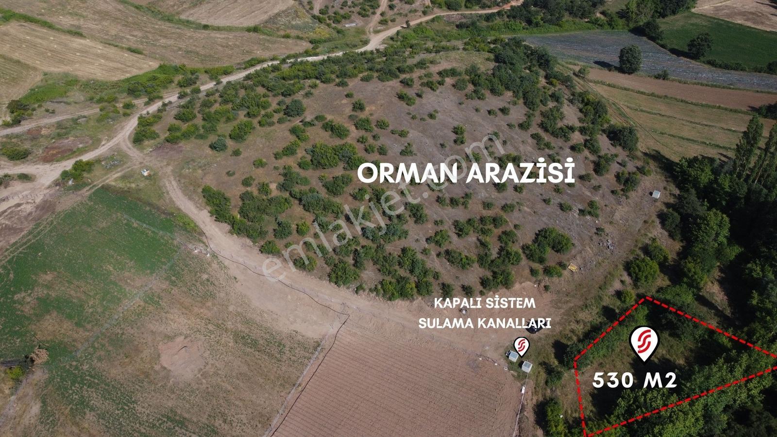 Altıeylül Sarıalanda Dere Ve Orman Manzaralı 530 M² Bahçe - Görsel 2