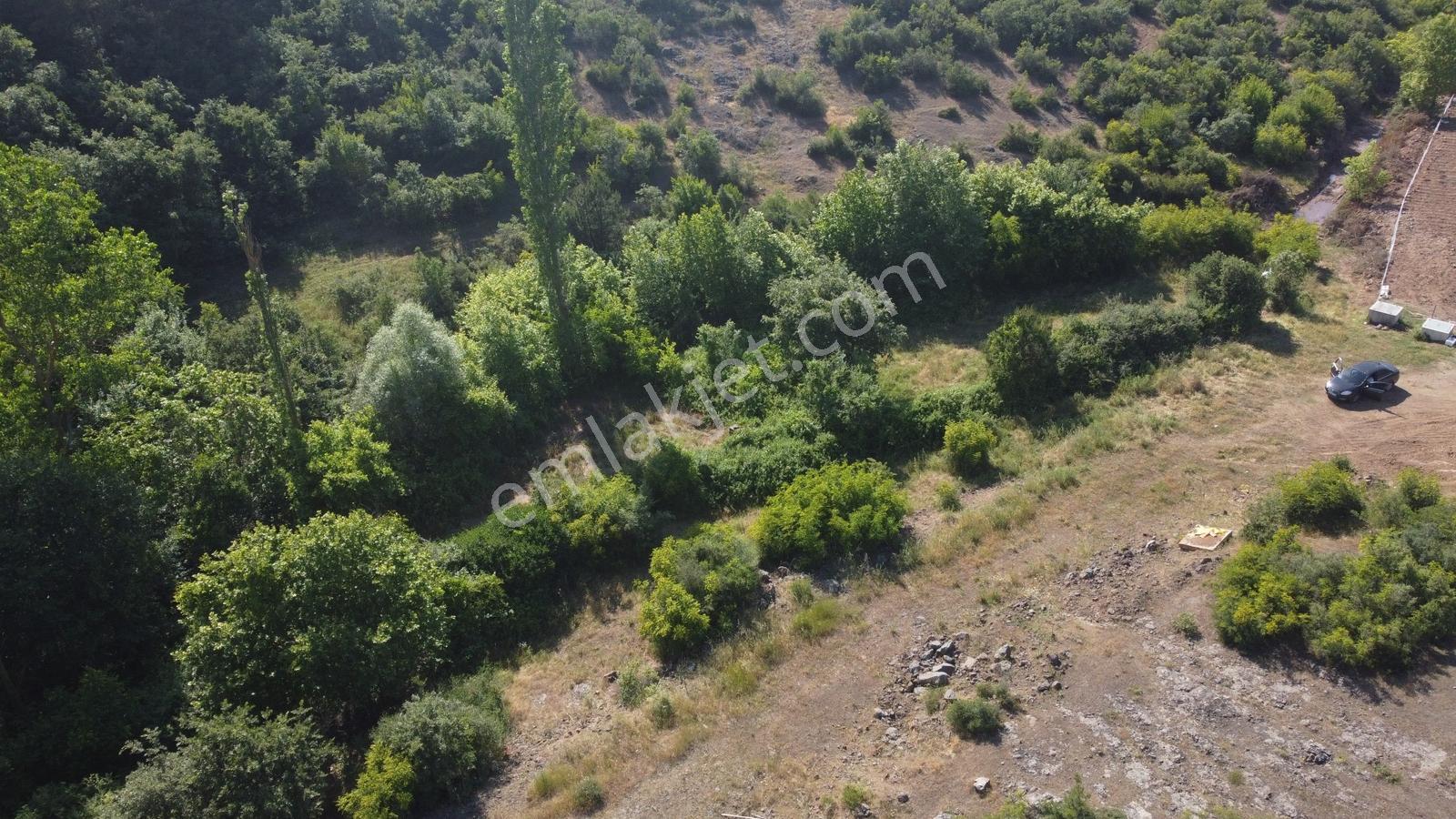 Altıeylül Sarıalanda Dere Ve Orman Manzaralı 530 M² Bahçe - Görsel 9
