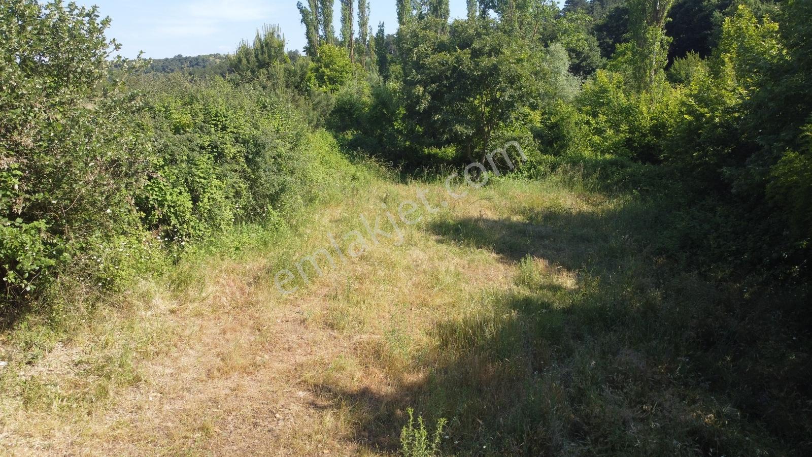 Altıeylül Sarıalanda Dere Ve Orman Manzaralı 530 M² Bahçe - Görsel 17