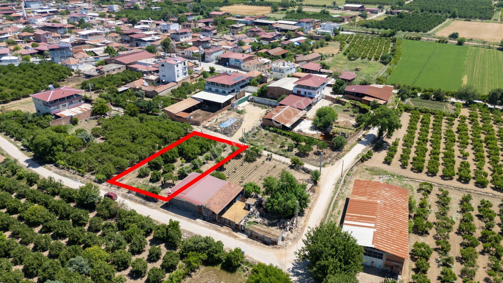 Nazilli Bereketli Mahallesinde Satılık İmar Sınırında Hisseli Portakal Bahçesi - Görsel 7
