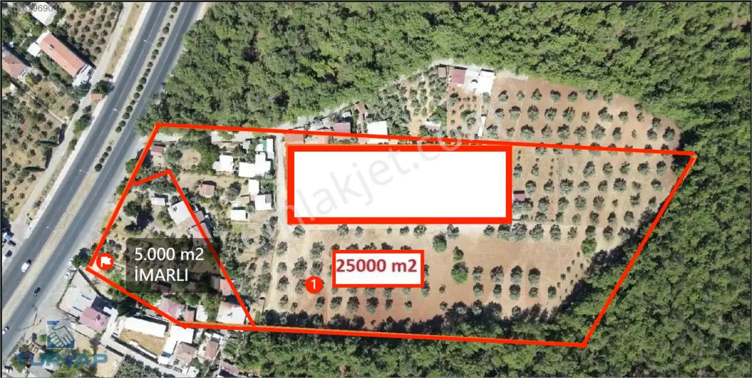 Yeşilköy'de 25.000 M² Verimli Zeytinlik İçerisinde 5.000 M² İmarlı Alan – Eşsiz Yatırım Fırsatı!
