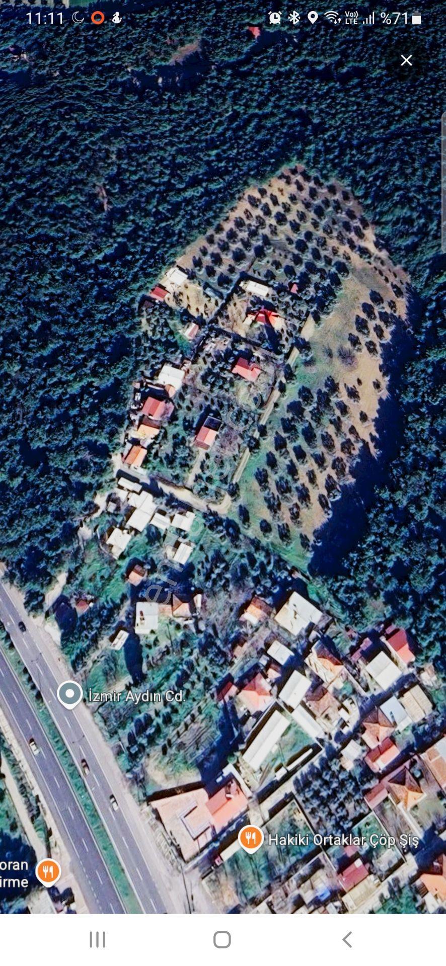 Yeşilköy'de 25.000 M² Verimli Zeytinlik İçerisinde 5.000 M² İmarlı Alan – Eşsiz Yatırım Fırsatı! - Görsel 4