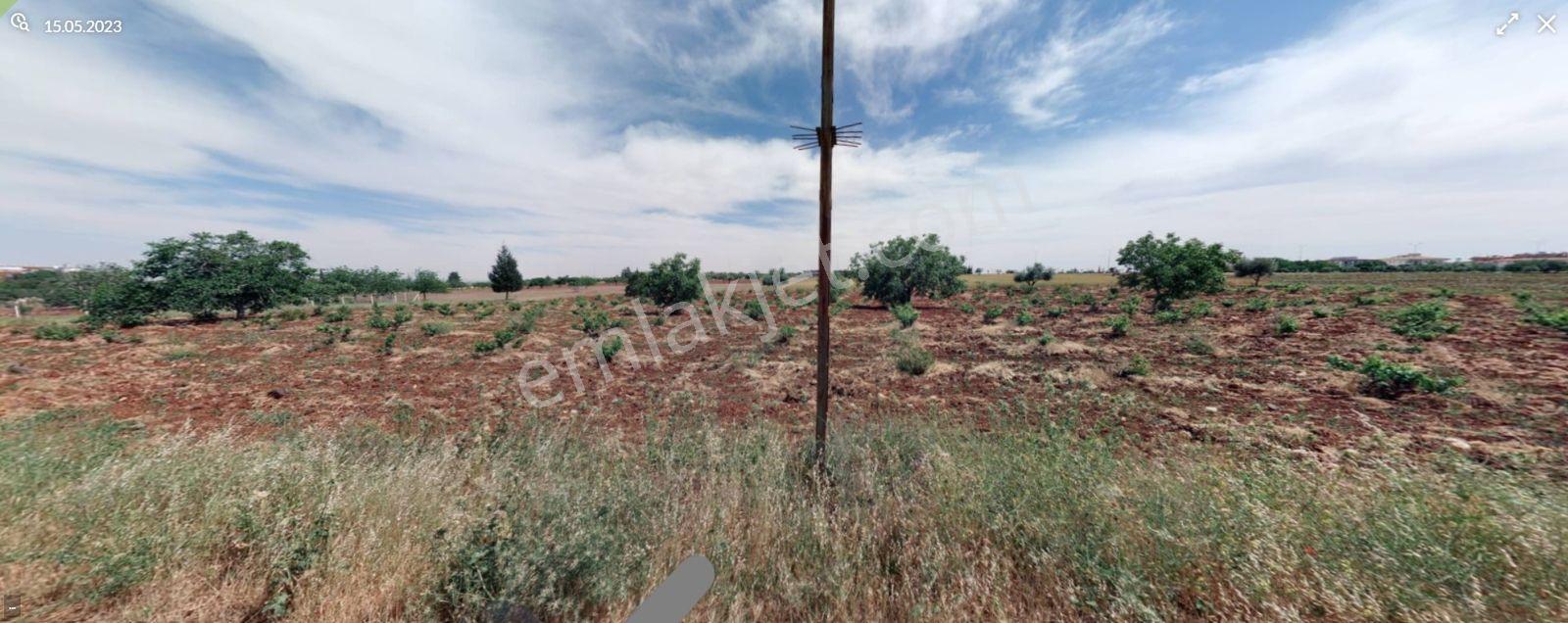 Uyaran 79 Gayrimenkulden Aktürk Mh Yeni Hst Yakın İmara 540 Mt - Görsel 13