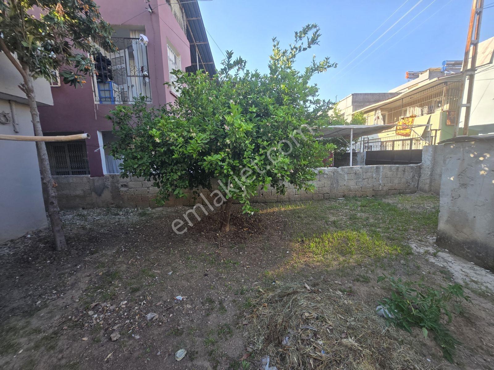 Vesile'den 231 M² Arsa İçerisinde 1.5 Katlı Müstakil - Görsel 10