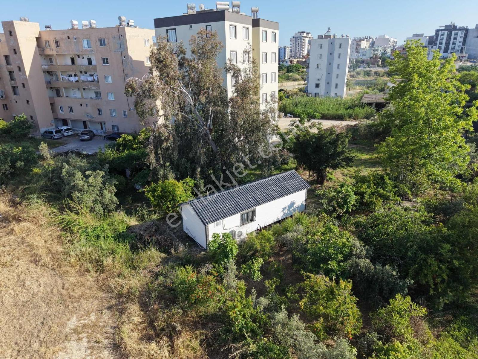 Erdemli Limonluda Denize Yakın Prefabrik Ev Ve Arsası - Görsel 10