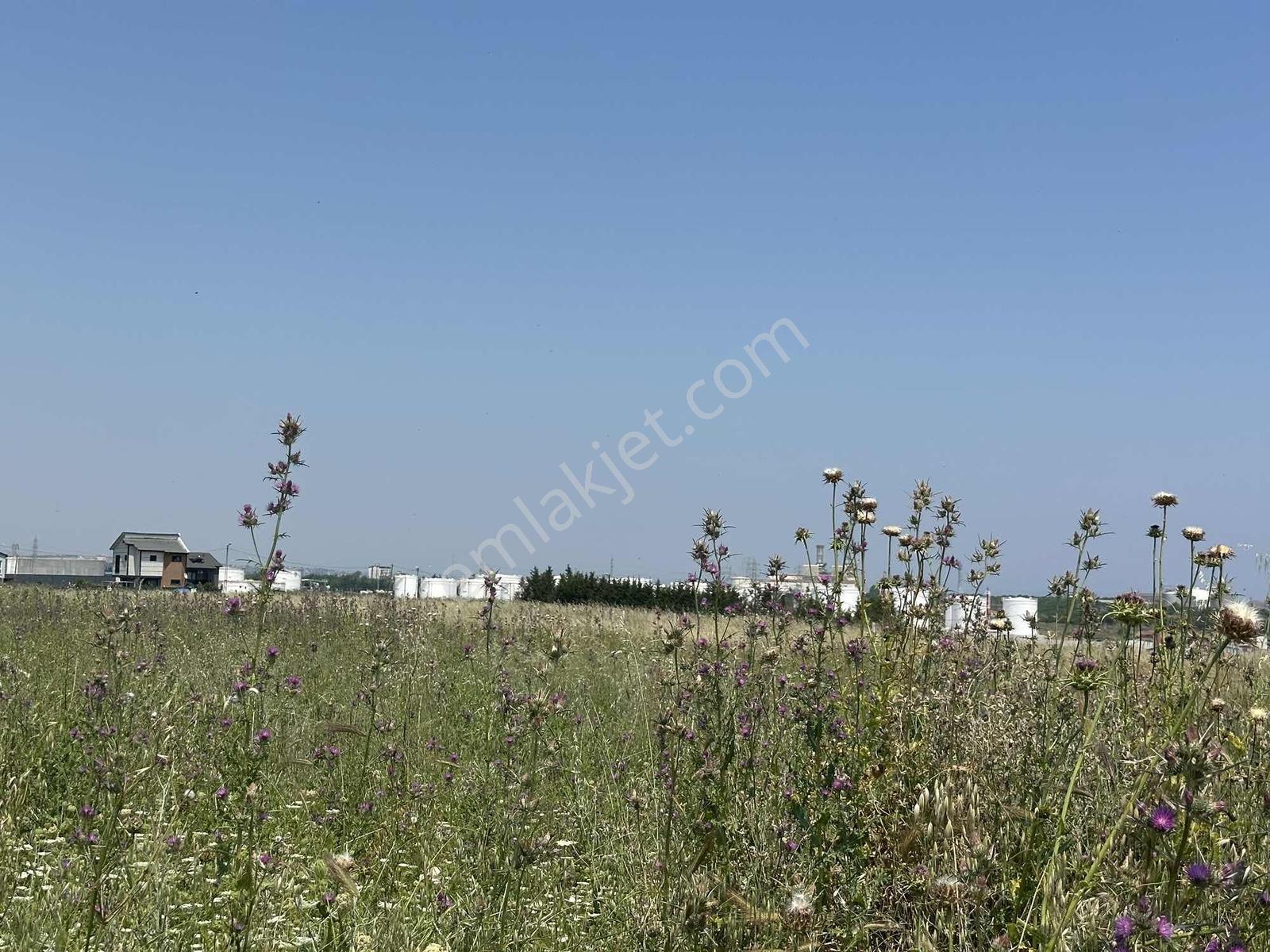 Marmara Ereğlisi Denize Yakın 3 Kat İmar Satılık 500 M2 Arsa - Görsel 29