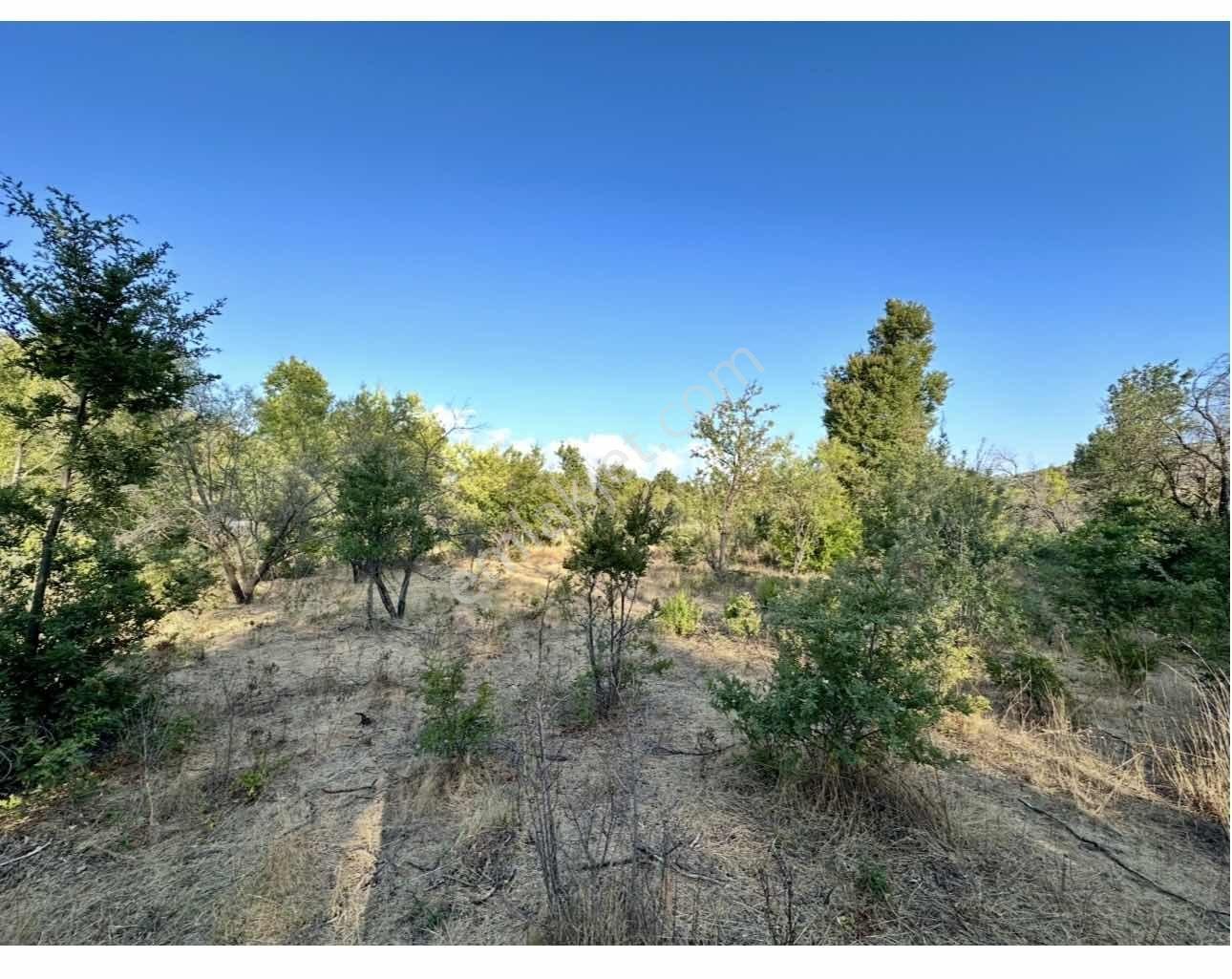 Alanya Güzelbağda Satılık 617 M2 Arsa - Görsel 22