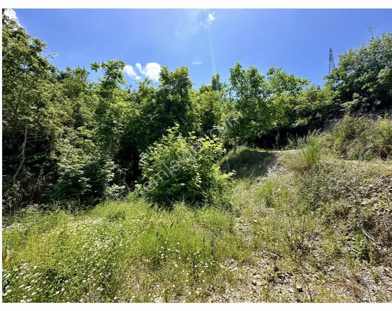 Alanya Gümüşgözede Satılık 383 M2 Tarla - Görsel 31