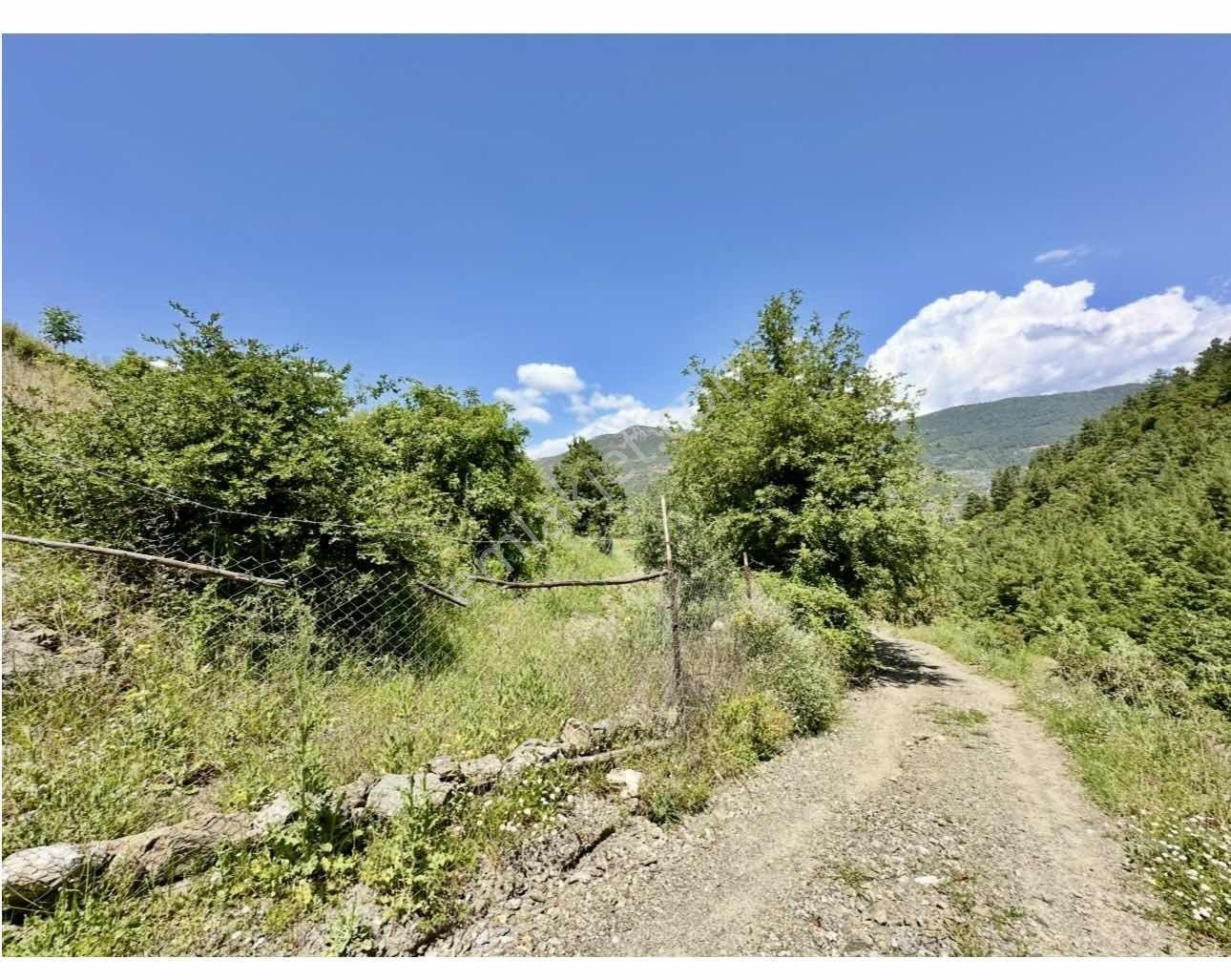 Alanya Gümüşgözede Satılık 383 M2 Tarla - Görsel 35