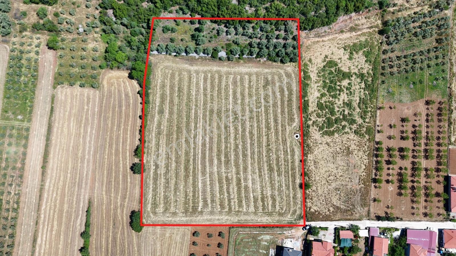 Muğla Menteşe Yenice'de 13.446 M² Malikane/çiftlik Arazisi! - Görsel 3