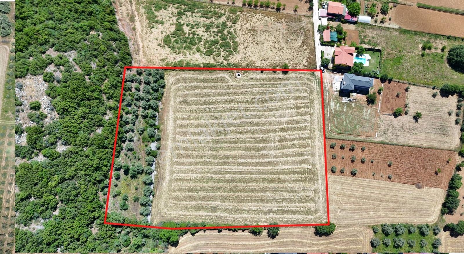 Muğla Menteşe Yenice'de 13.446 M² Malikane/çiftlik Arazisi! - Görsel 5
