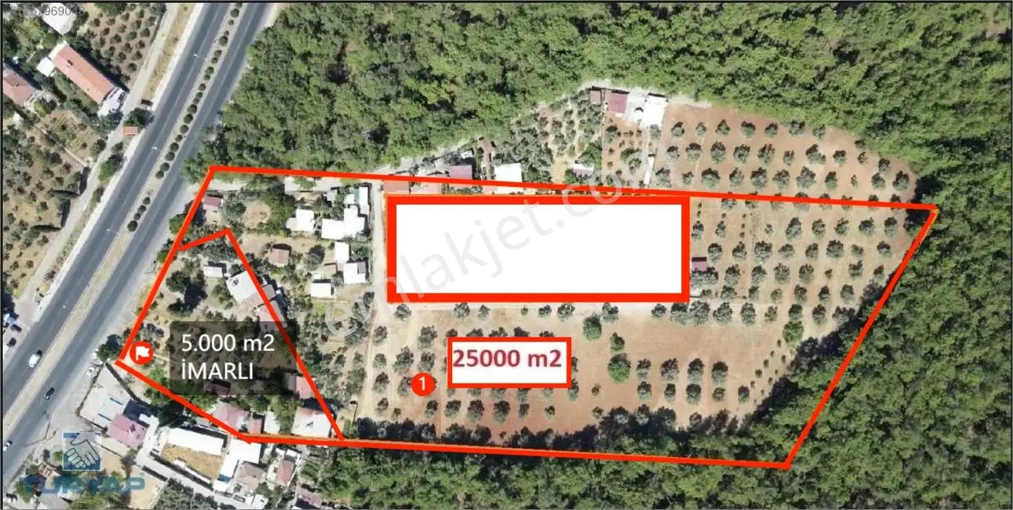 İmarlı Alan Avantajıyla Satılık 25.000 M² Zeytinlik