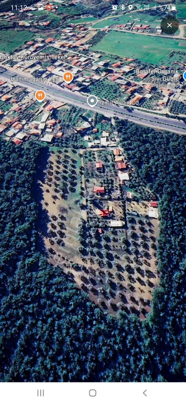 İmarlı Alan Avantajıyla Satılık 25.000 M² Zeytinlik - Görsel 6