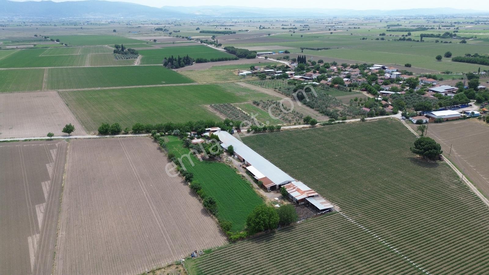 İzmir Bergama Zağnos Mahallesinde Satılık Çiftlik 7.315m2 - Görsel 13