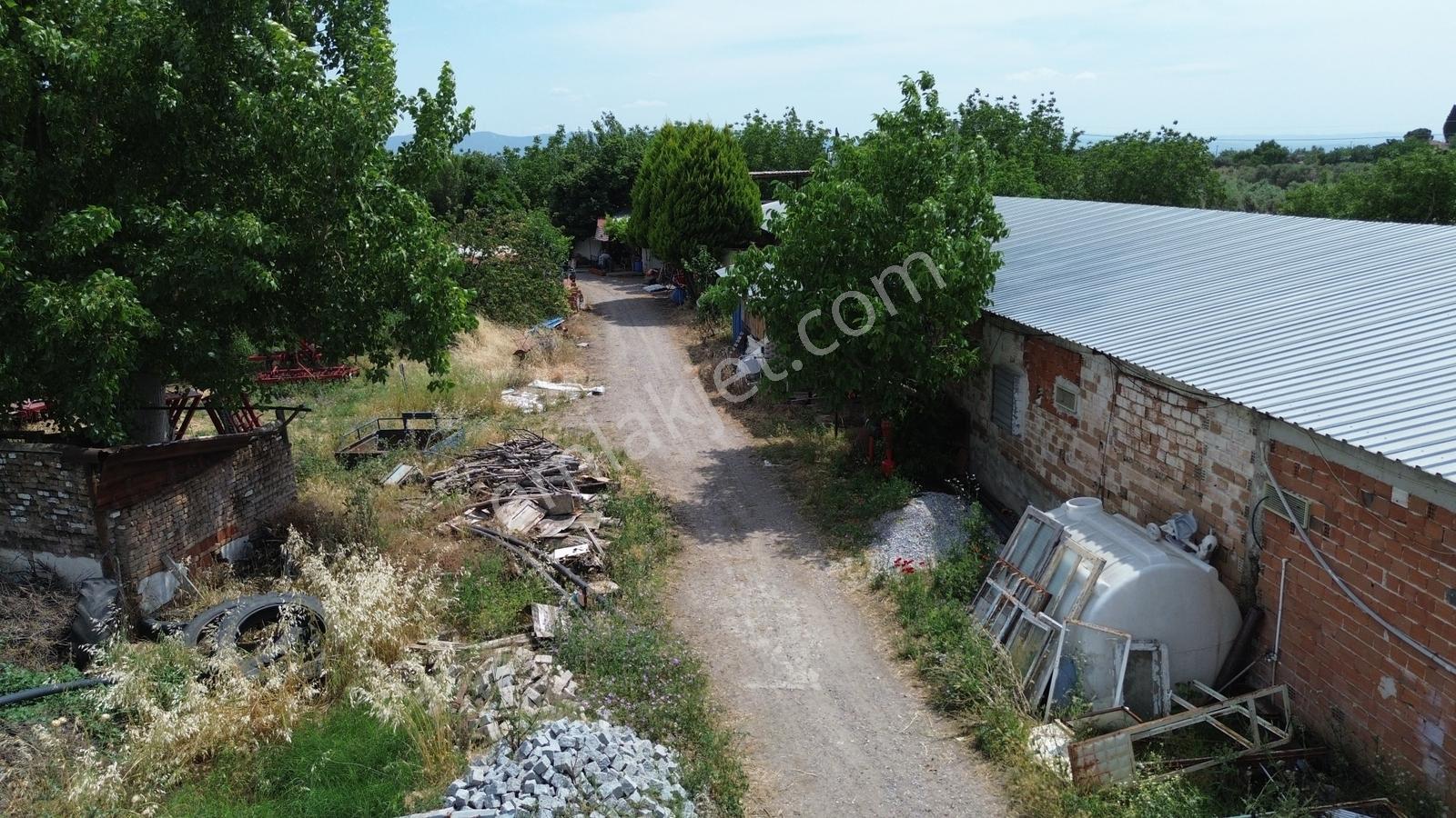 İzmir Bergama Zağnos Mahallesinde Satılık Çiftlik 7.315m2 - Görsel 25