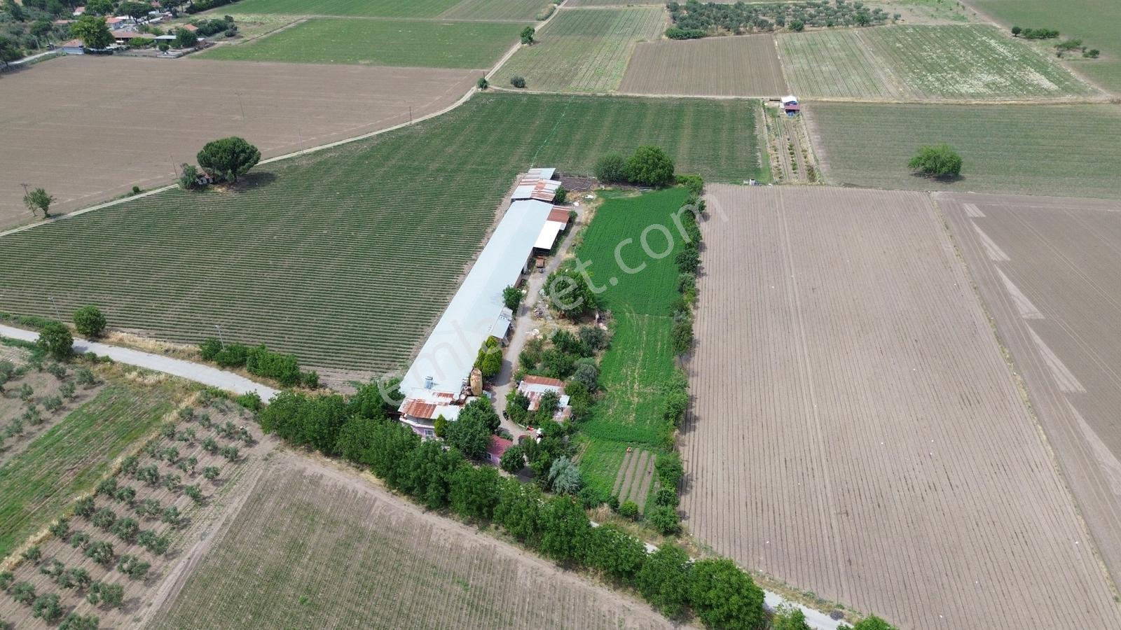 İzmir Bergama Zağnos Mahallesinde Satılık Çiftlik 7.315m2 - Görsel 9