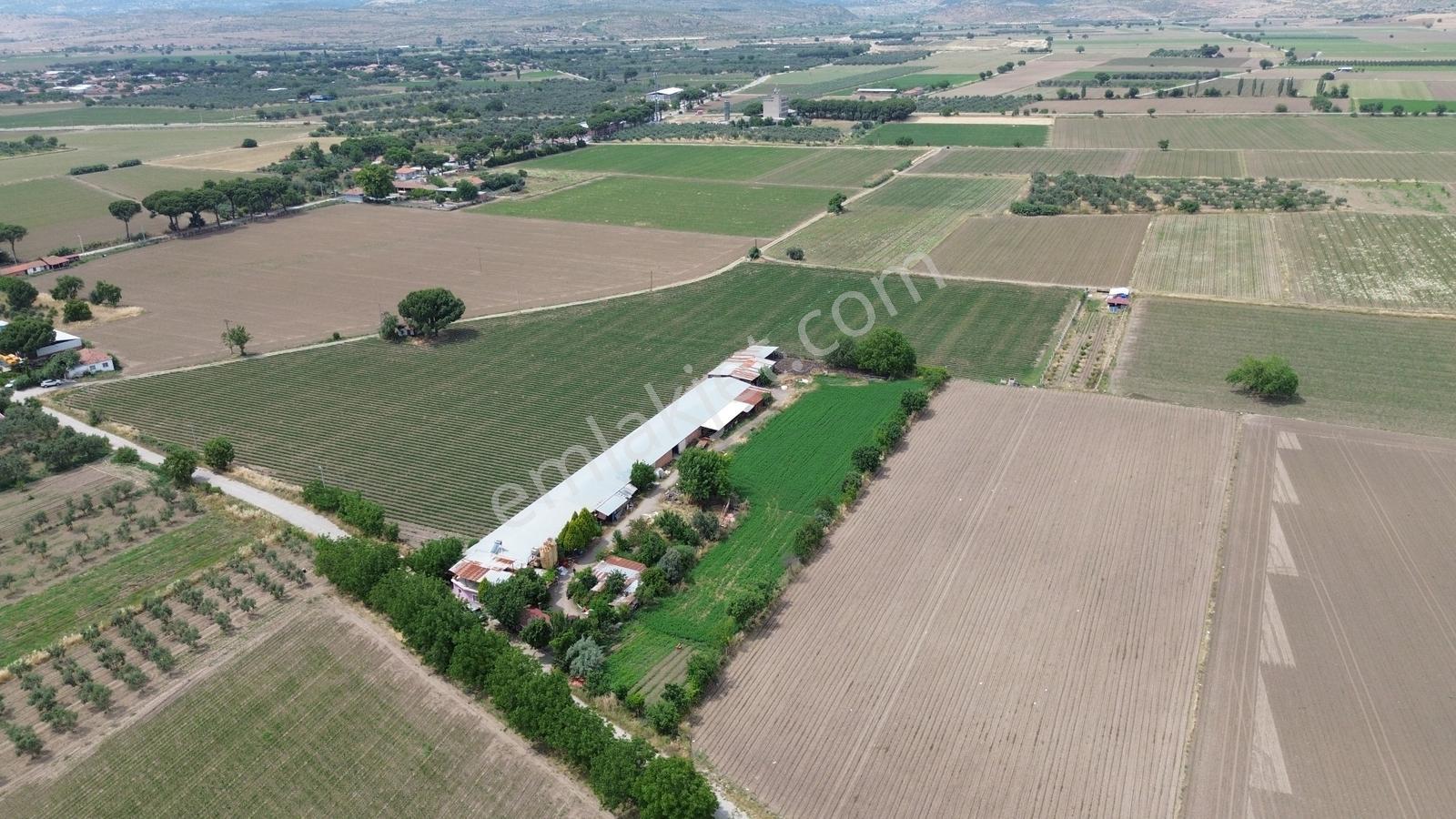 İzmir Bergama Zağnos Mahallesinde Satılık Çiftlik 7.315m2 - Görsel 34