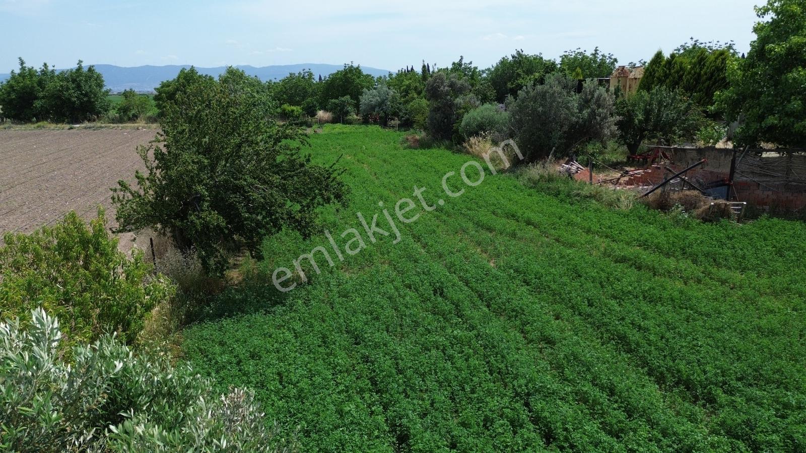 İzmir Bergama Zağnos Mahallesinde Satılık Çiftlik 7.315m2 - Görsel 22