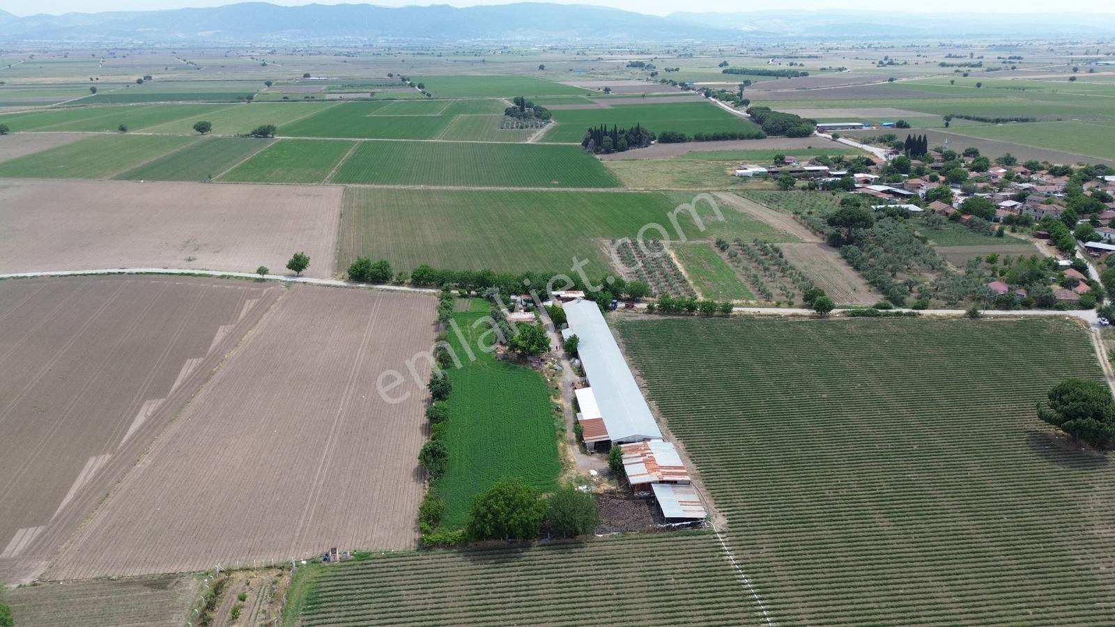 İzmir Bergama Zağnos Mahallesinde Satılık Çiftlik 7.315m2 - Görsel 18