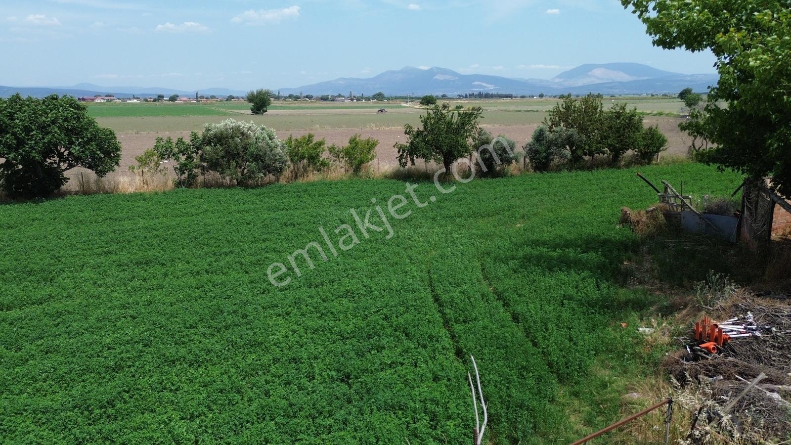 İzmir Bergama Zağnos Mahallesinde Satılık Çiftlik 7.315m2 - Görsel 27