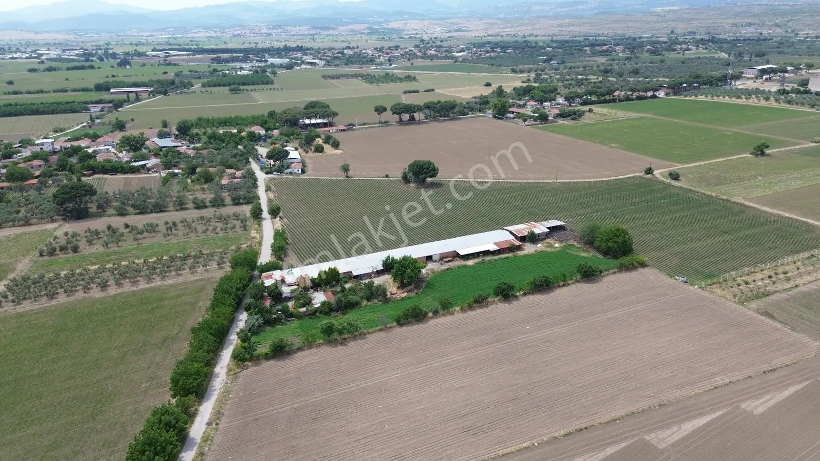 İzmir Bergama Zağnos Mahallesinde Satılık Çiftlik 7.315m2 - Görsel 5