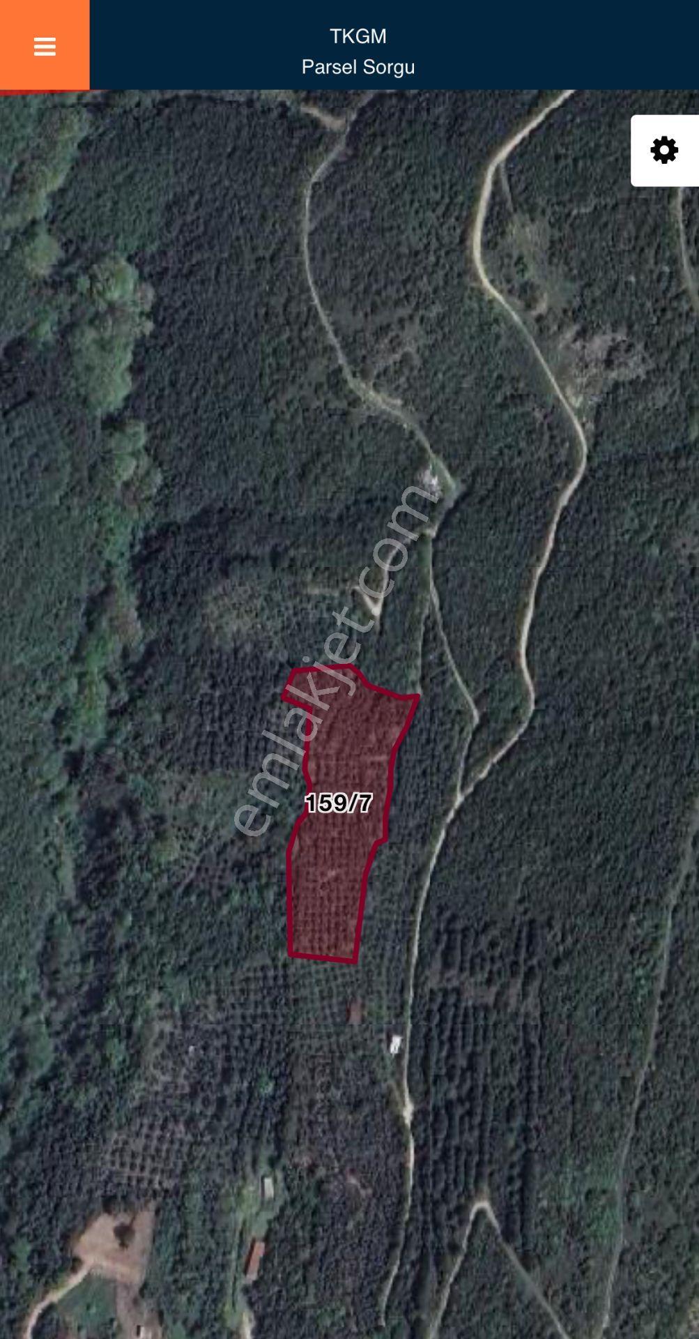 Erdek, Hamamlı Da 6.2 Dönüm, Orman Ve Deniz Manzaralı Satılık Zeytinlik, Bağ, Bahçe
