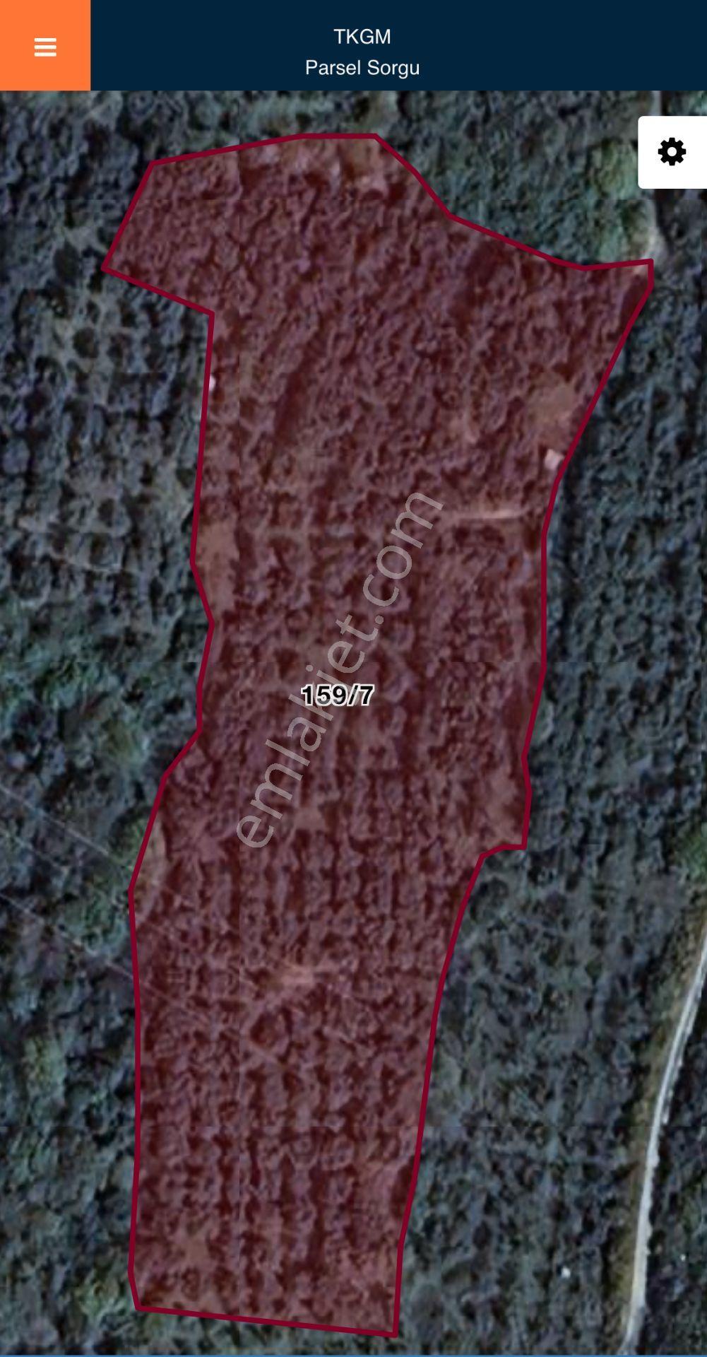 Erdek, Hamamlı Da 6.2 Dönüm, Orman Ve Deniz Manzaralı Satılık Zeytinlik, Bağ, Bahçe - Görsel 2