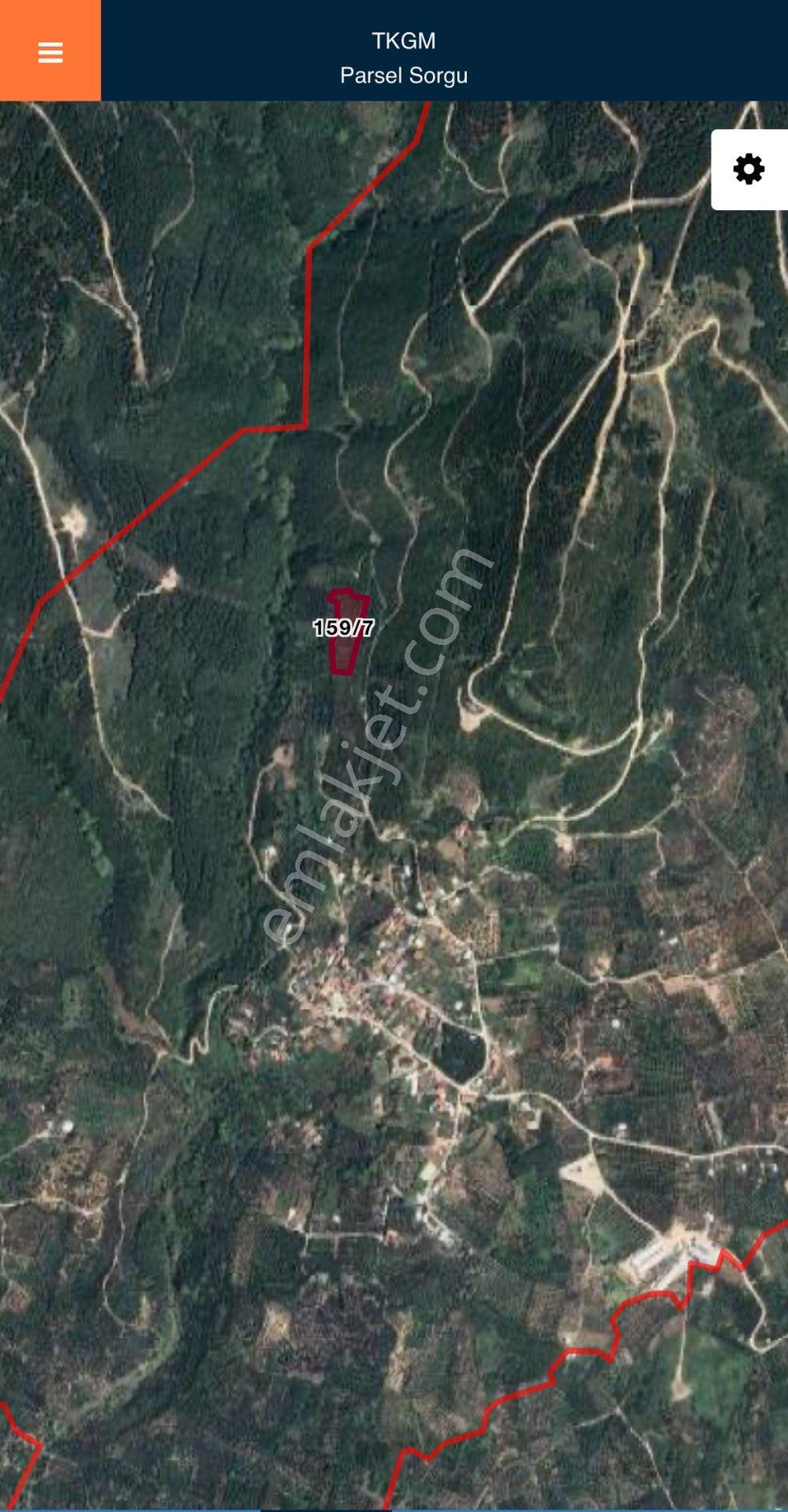 Erdek, Hamamlı Da 6.2 Dönüm, Orman Ve Deniz Manzaralı Satılık Zeytinlik, Bağ, Bahçe - Görsel 5