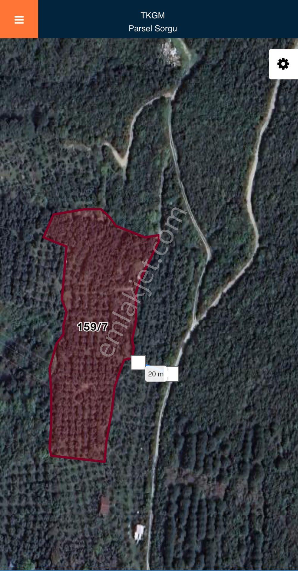 Erdek, Hamamlı Da 6.2 Dönüm, Orman Ve Deniz Manzaralı Satılık Zeytinlik, Bağ, Bahçe - Görsel 4