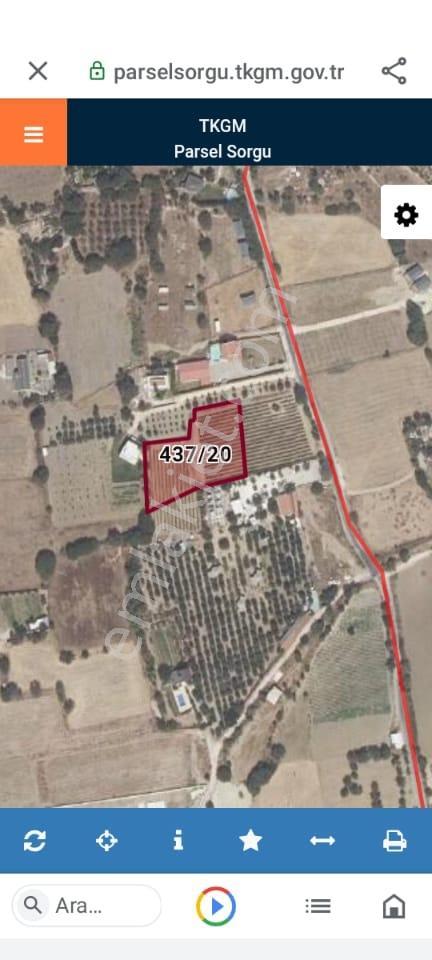 Didim Retürkten; Çeşme Musalla Mahallesinde Satılık Tarla - Görsel 3