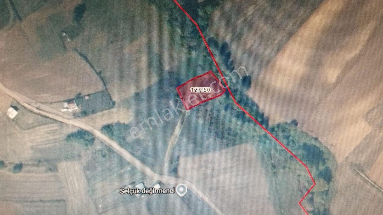 Kocaeli Kandıra Kaymazlarerikli 920 M2
