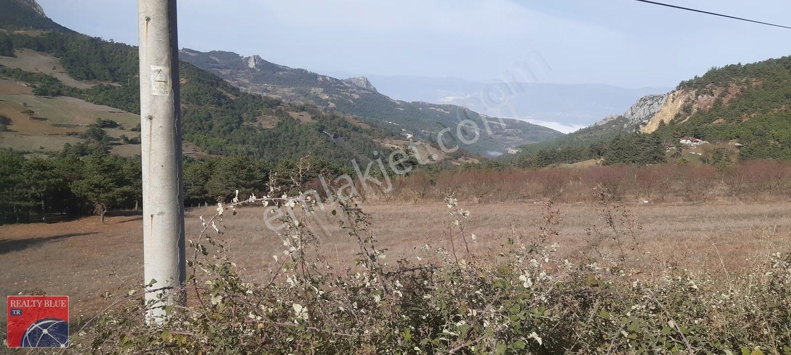 Sakarya Geyve Akdoğanda 65m Asfalt Yola Cepheli Tarla - Görsel 3