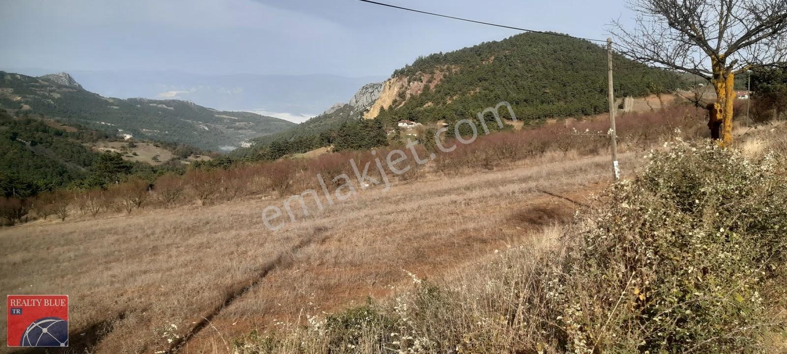 Sakarya Geyve Akdoğanda 65m Asfalt Yola Cepheli Tarla - Görsel 5